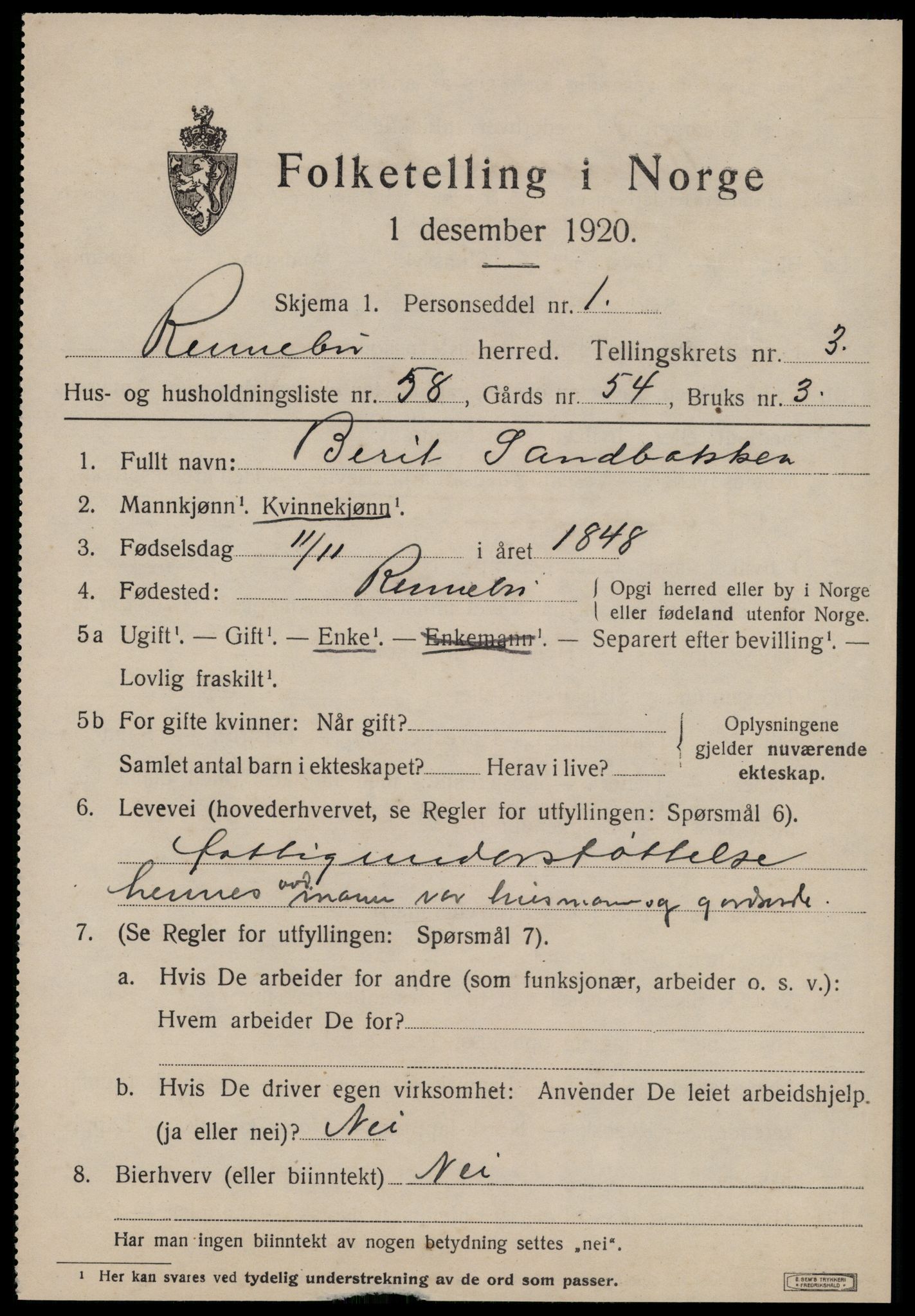 SAT, 1920 census for Rennebu, 1920, p. 2528