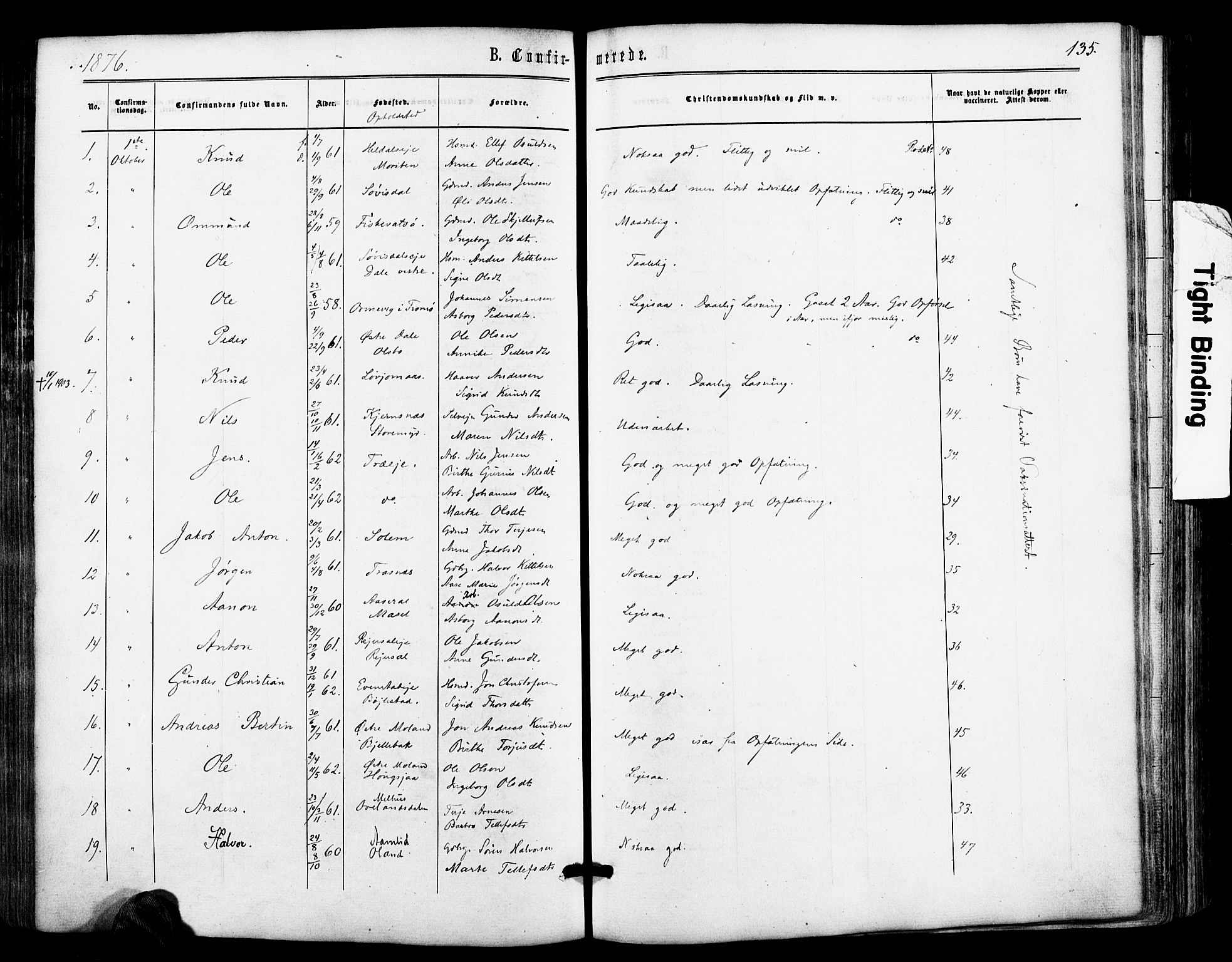 Froland sokneprestkontor, AV/SAK-1111-0013/F/Fa/L0003: Parish register (official) no. A 3, 1864-1881, p. 135