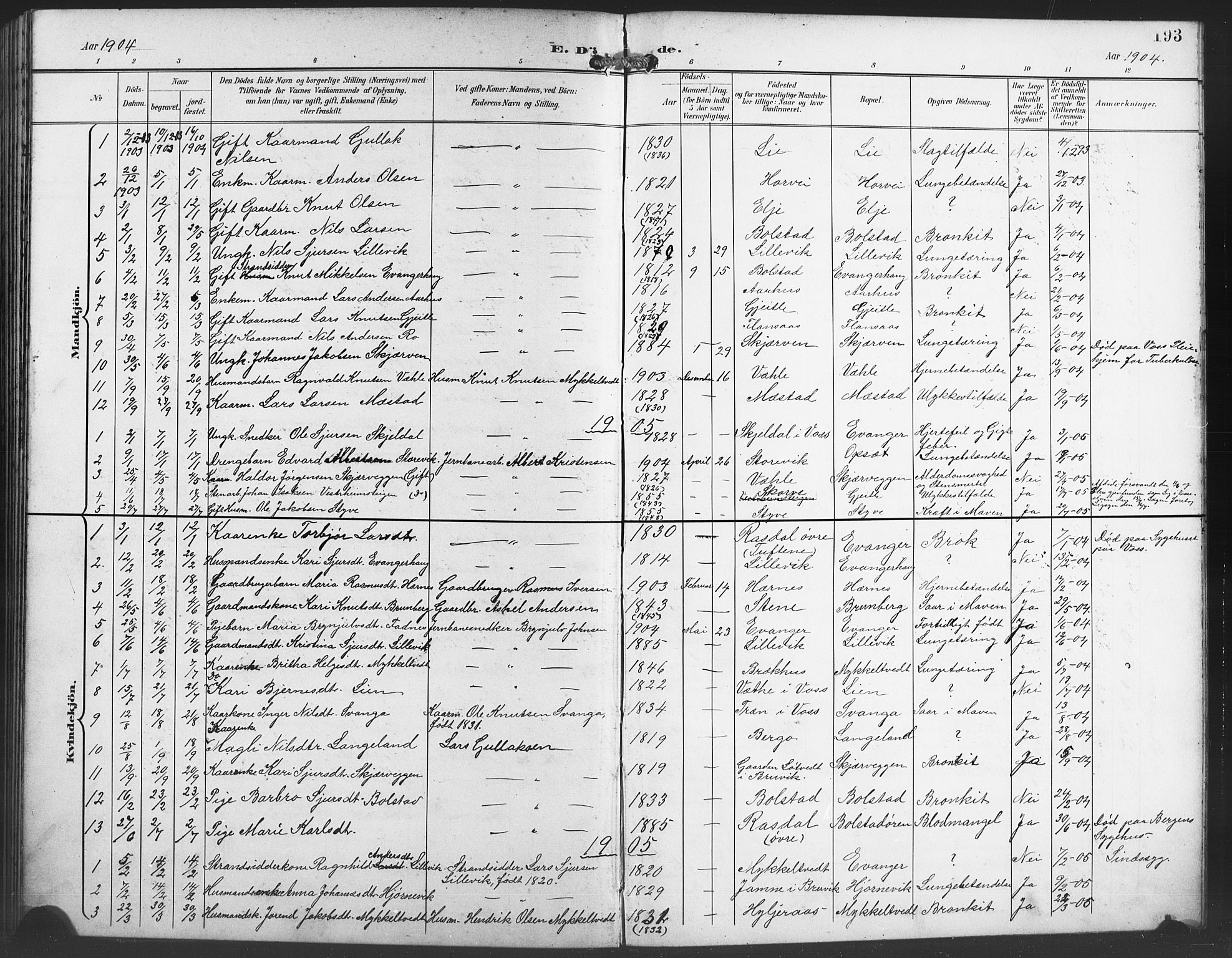 Evanger sokneprestembete, SAB/A-99924: Parish register (copy) no. A 5, 1897-1917, p. 193