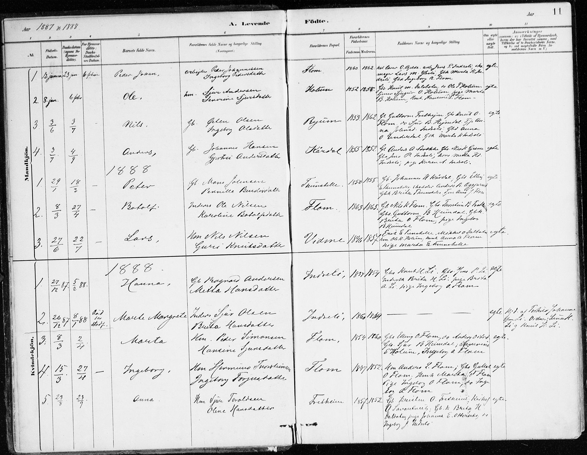 Aurland sokneprestembete, SAB/A-99937/H/Ha/Hac/L0001: Parish register (official) no. C 1, 1880-1921, p. 11