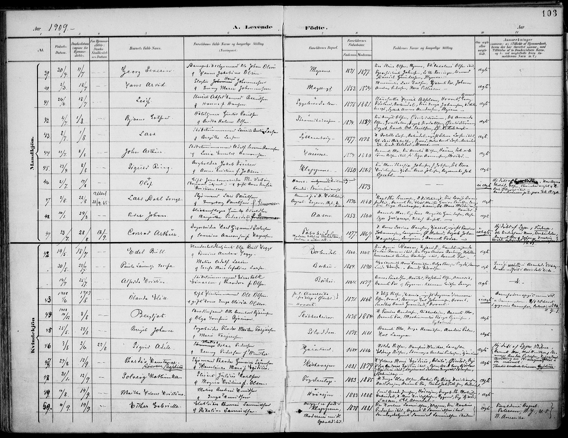 Barbu sokneprestkontor, AV/SAK-1111-0003/F/Fa/L0005: Parish register (official) no. A 5, 1899-1909, p. 103