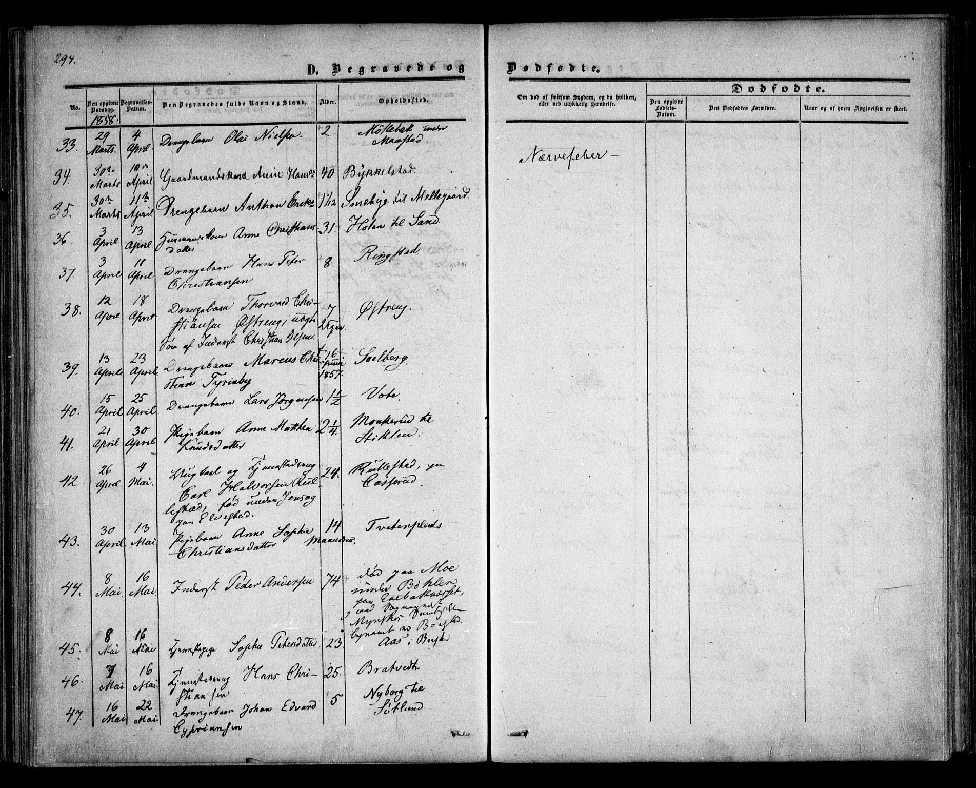 Trøgstad prestekontor Kirkebøker, AV/SAO-A-10925/F/Fa/L0008.b: Parish register (official) no. I 8B, 1855-1864, p. 294