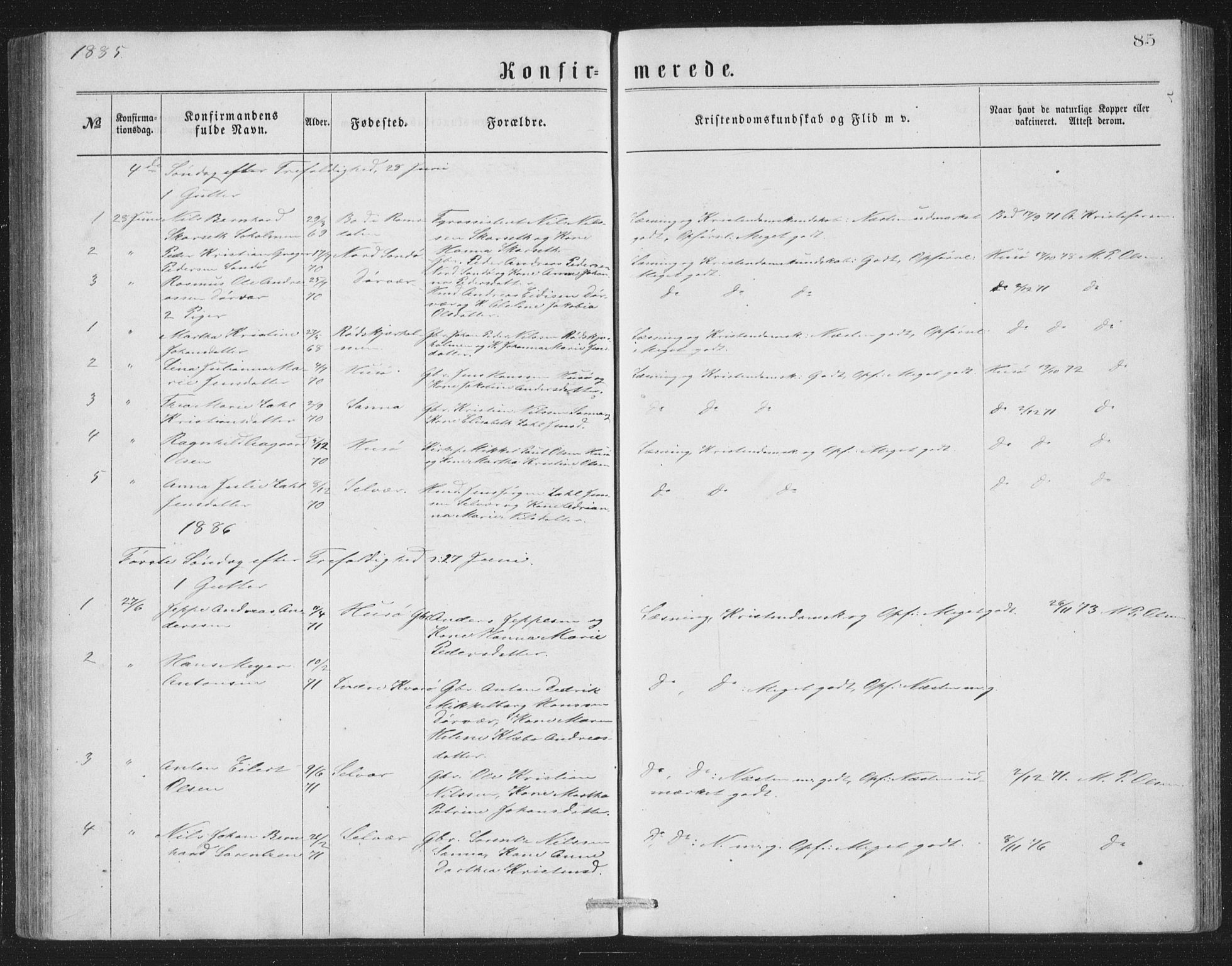 Ministerialprotokoller, klokkerbøker og fødselsregistre - Nordland, AV/SAT-A-1459/840/L0582: Parish register (copy) no. 840C02, 1874-1900, p. 85