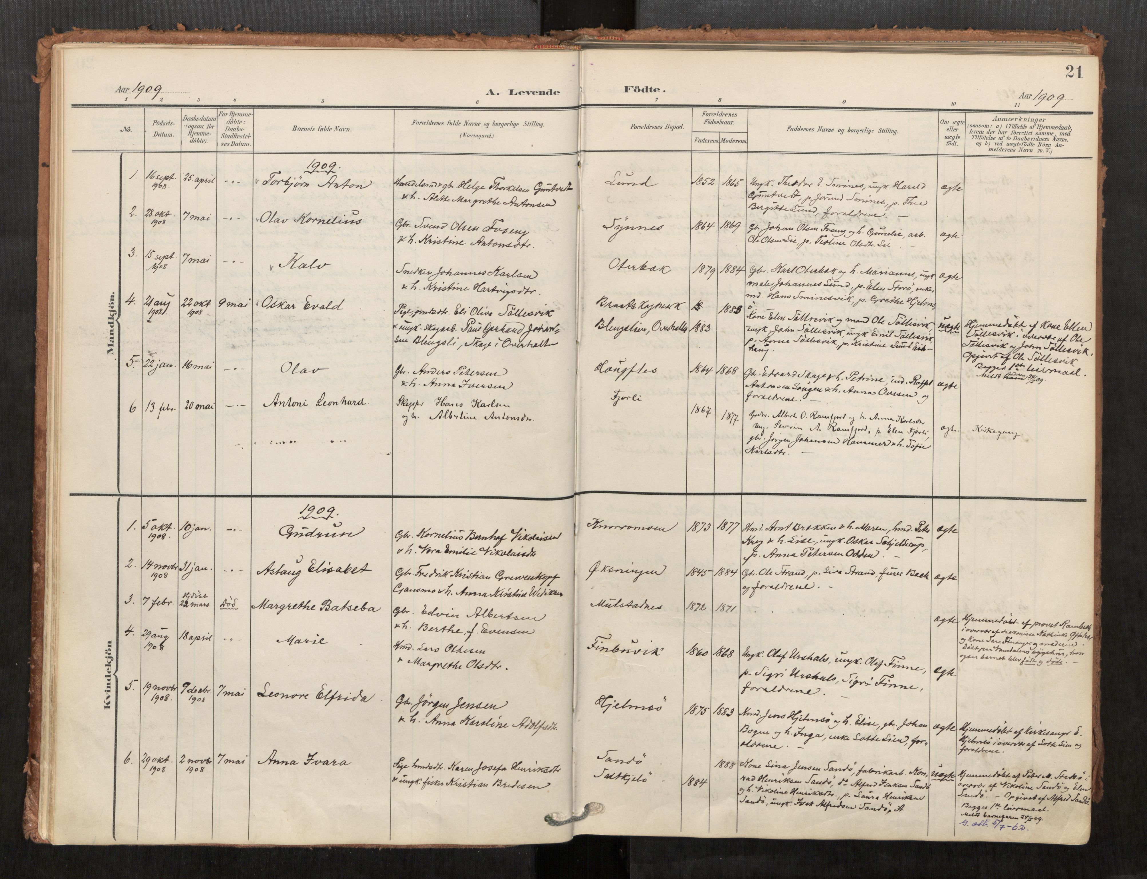 Kolvereid sokneprestkontor, SAT/A-1171/H/Ha/Haa/L0001: Parish register (official) no. 1, 1903-1922, p. 21