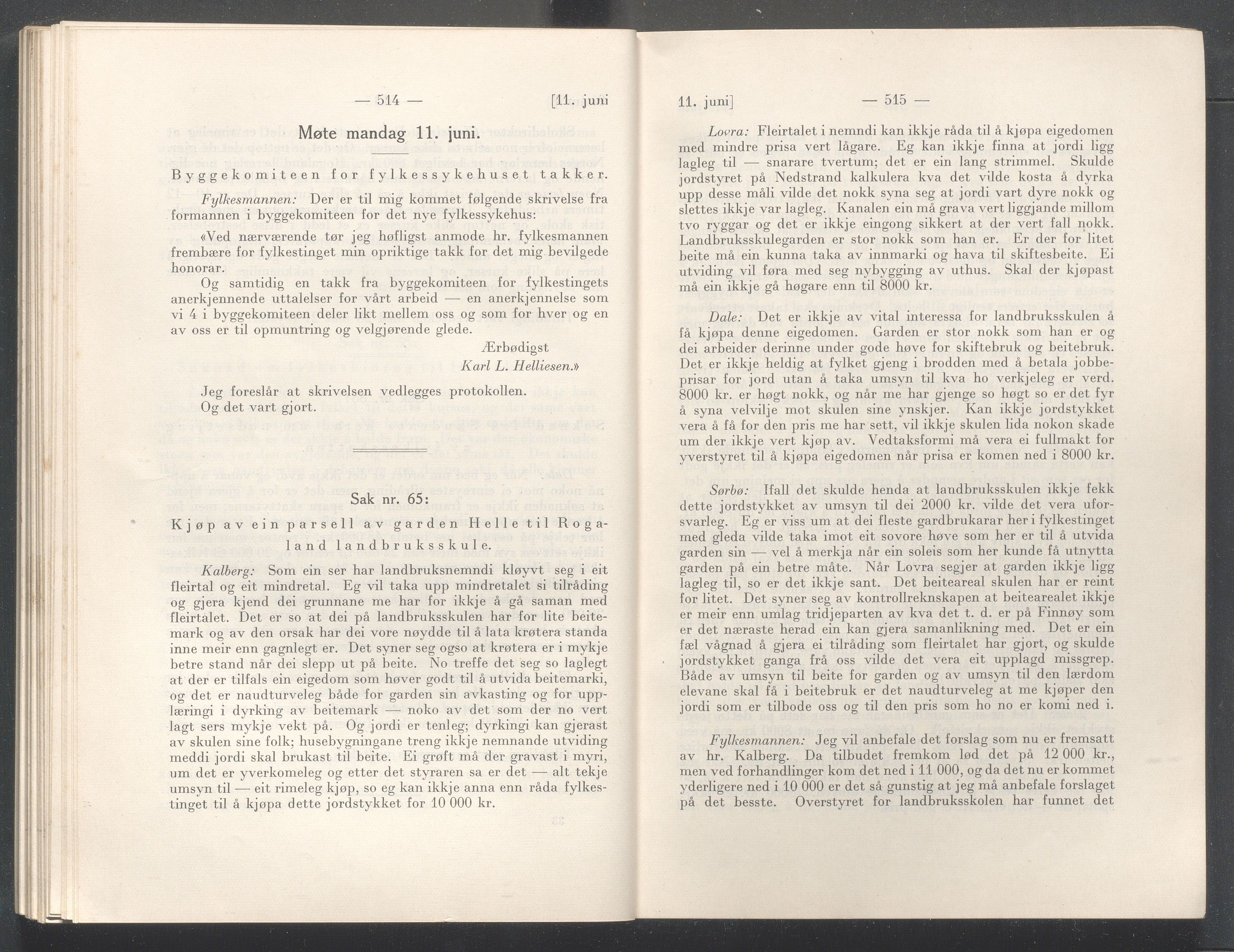 Rogaland fylkeskommune - Fylkesrådmannen , IKAR/A-900/A/Aa/Aaa/L0047: Møtebok , 1928, p. 514-515