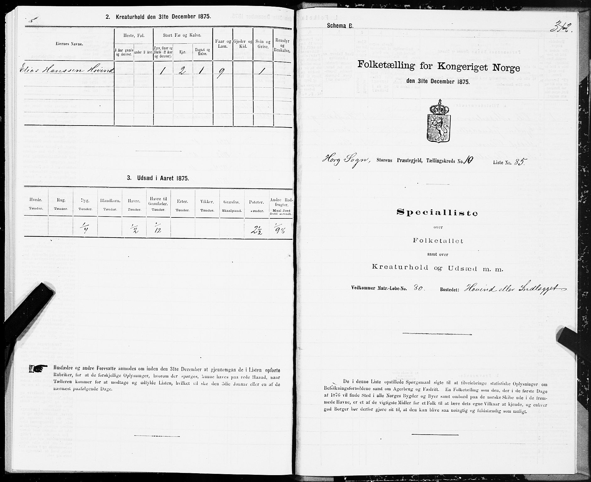 SAT, 1875 census for 1648P Støren, 1875, p. 5312