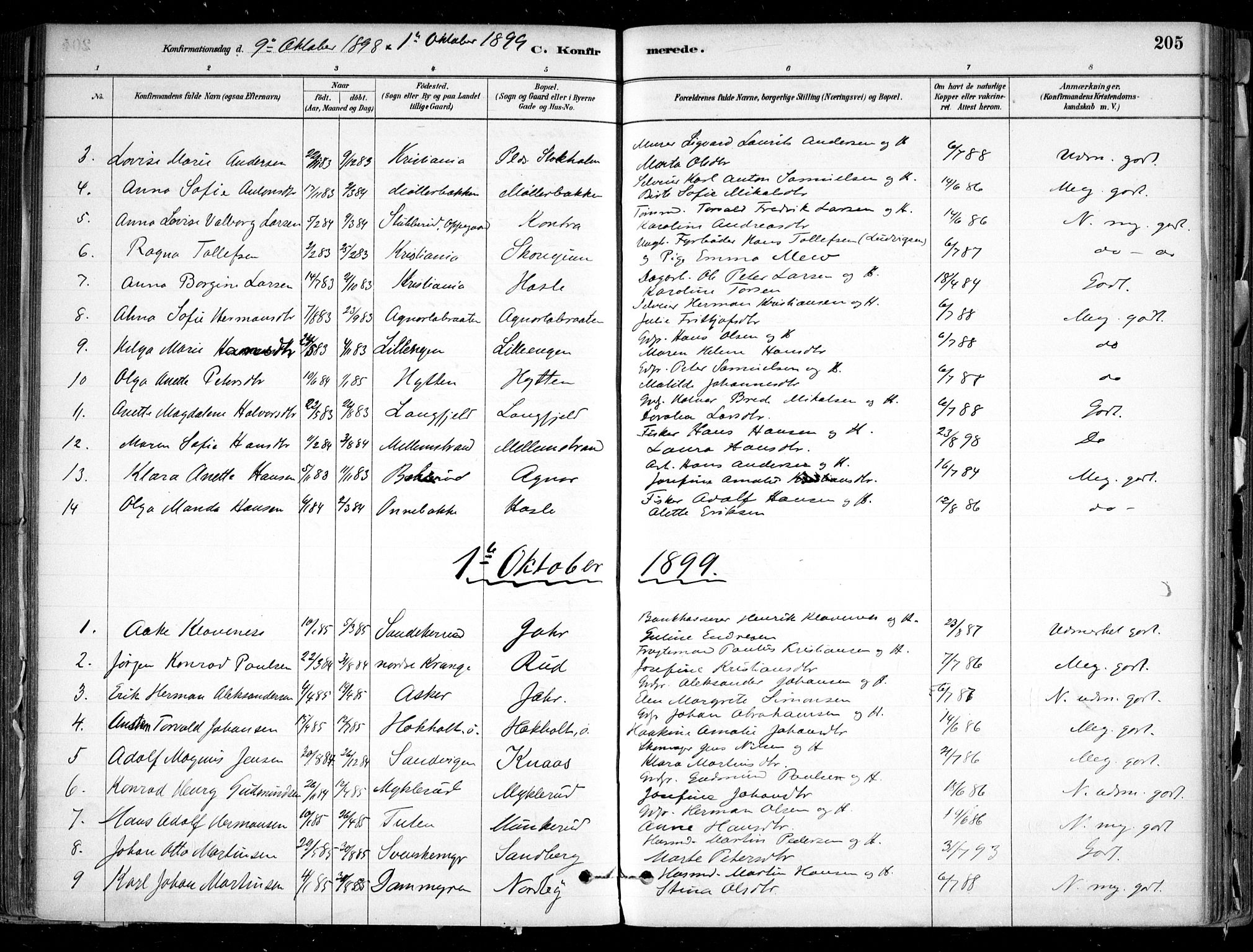 Nesodden prestekontor Kirkebøker, SAO/A-10013/F/Fa/L0009: Parish register (official) no. I 9, 1880-1915, p. 205