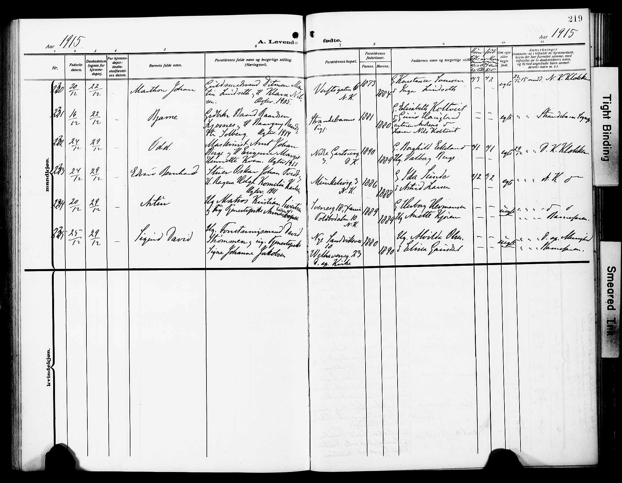 Fødselsstiftelsens sokneprestembete*, SAB/-: Parish register (official) no. A 4, 1910-1918, p. 219