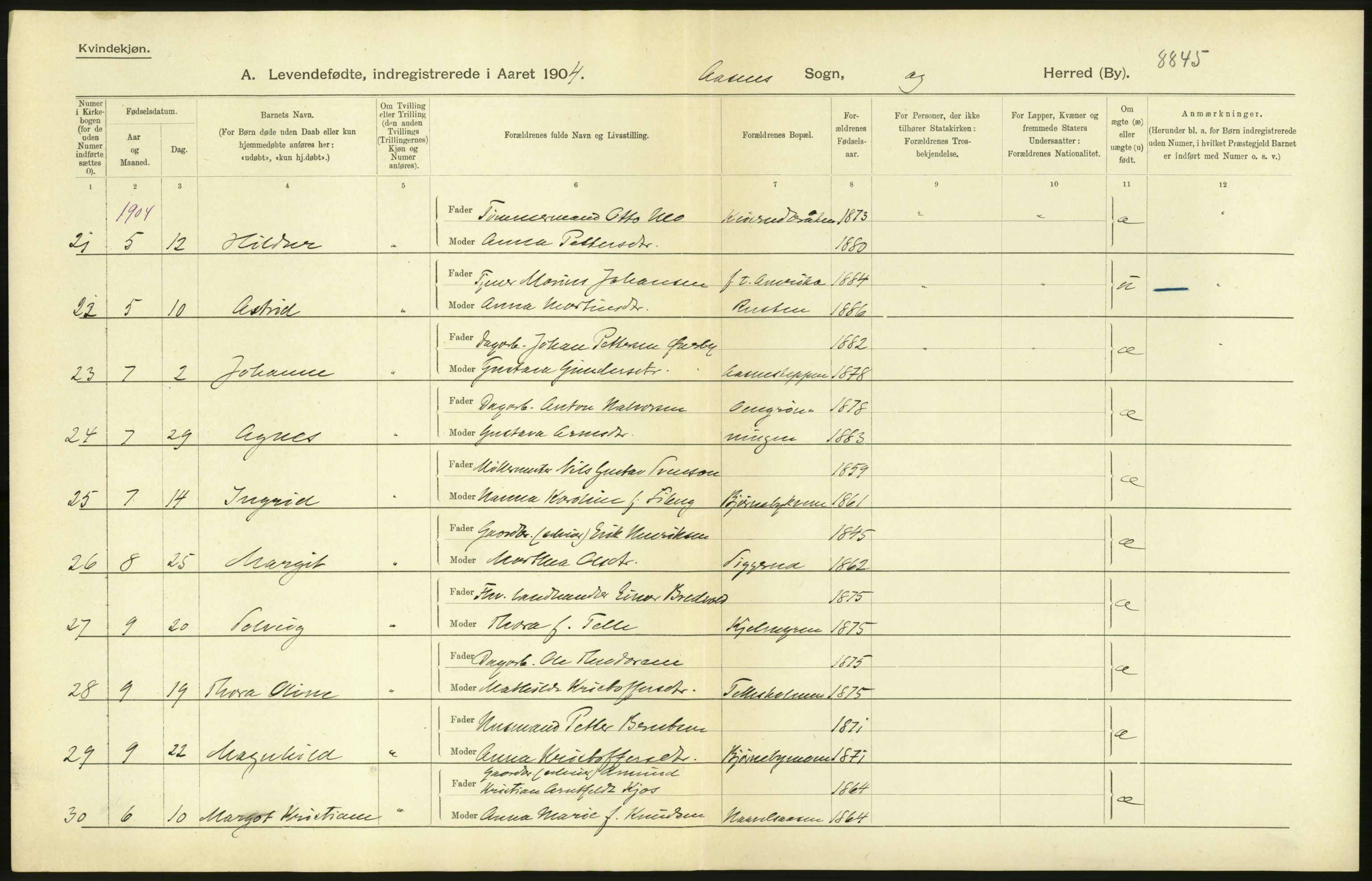 Statistisk sentralbyrå, Sosiodemografiske emner, Befolkning, AV/RA-S-2228/D/Df/Dfa/Dfab/L0005: Hedemarkens amt: Fødte, gifte, døde, 1904, p. 70