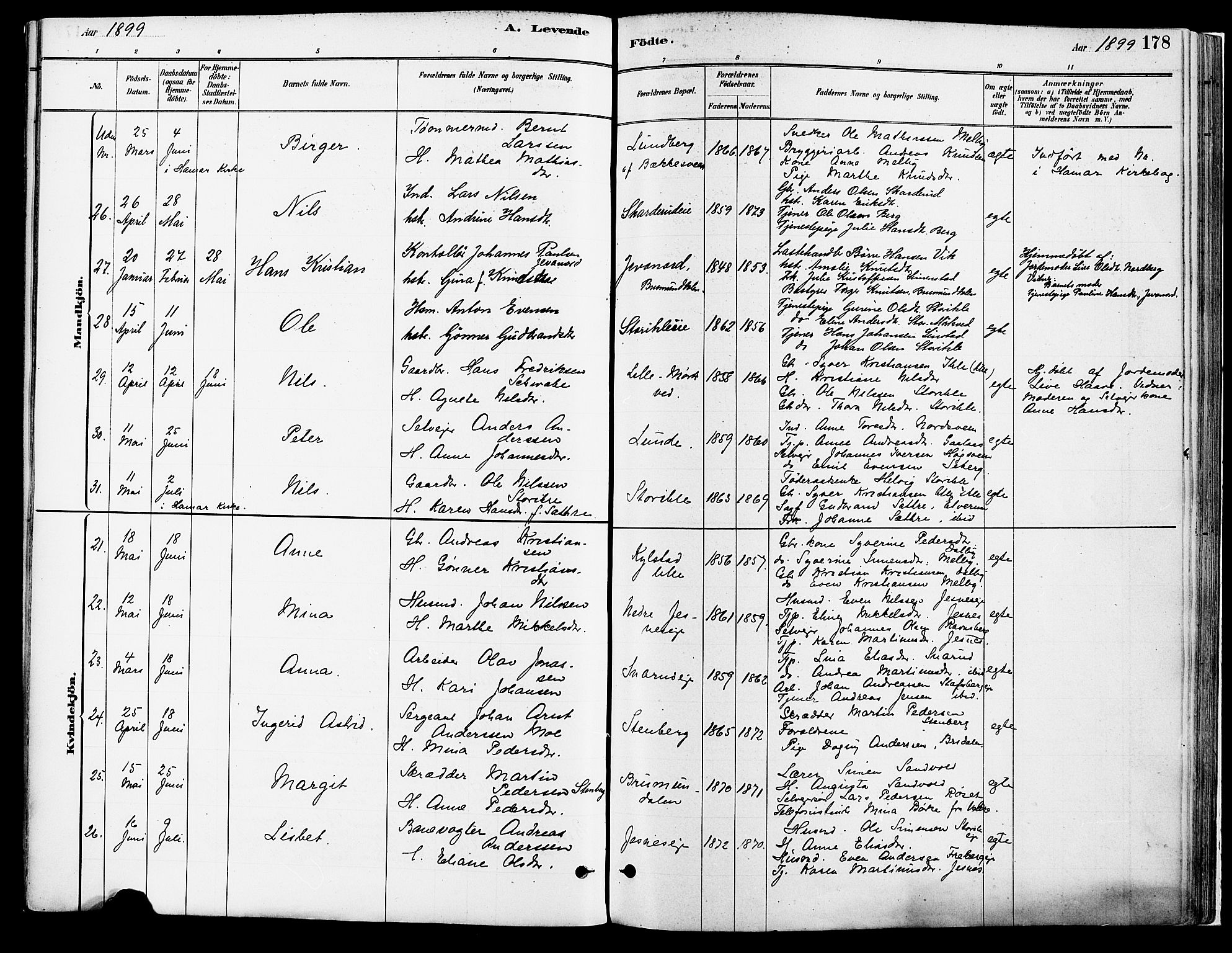 Vang prestekontor, Hedmark, AV/SAH-PREST-008/H/Ha/Haa/L0018A: Parish register (official) no. 18A, 1880-1906, p. 178