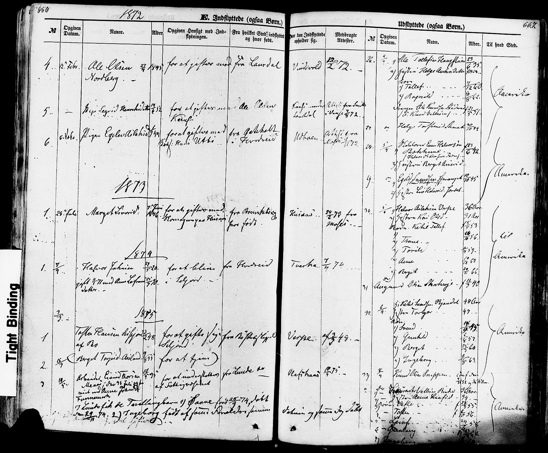 Seljord kirkebøker, SAKO/A-20/F/Fa/L0013: Parish register (official) no. I 13, 1866-1876, p. 666-667