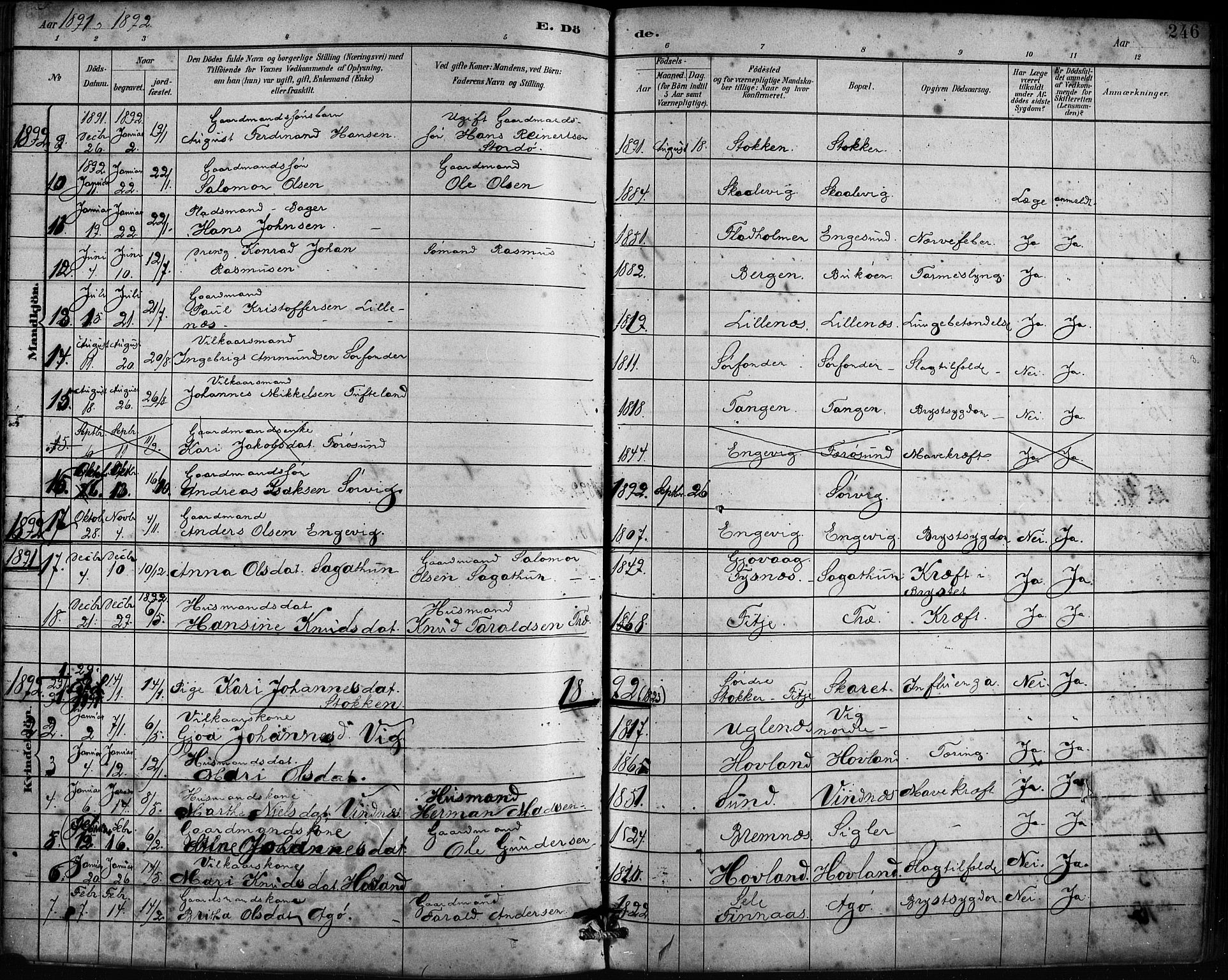 Fitjar sokneprestembete, AV/SAB-A-99926: Parish register (official) no. A 2, 1882-1899, p. 246