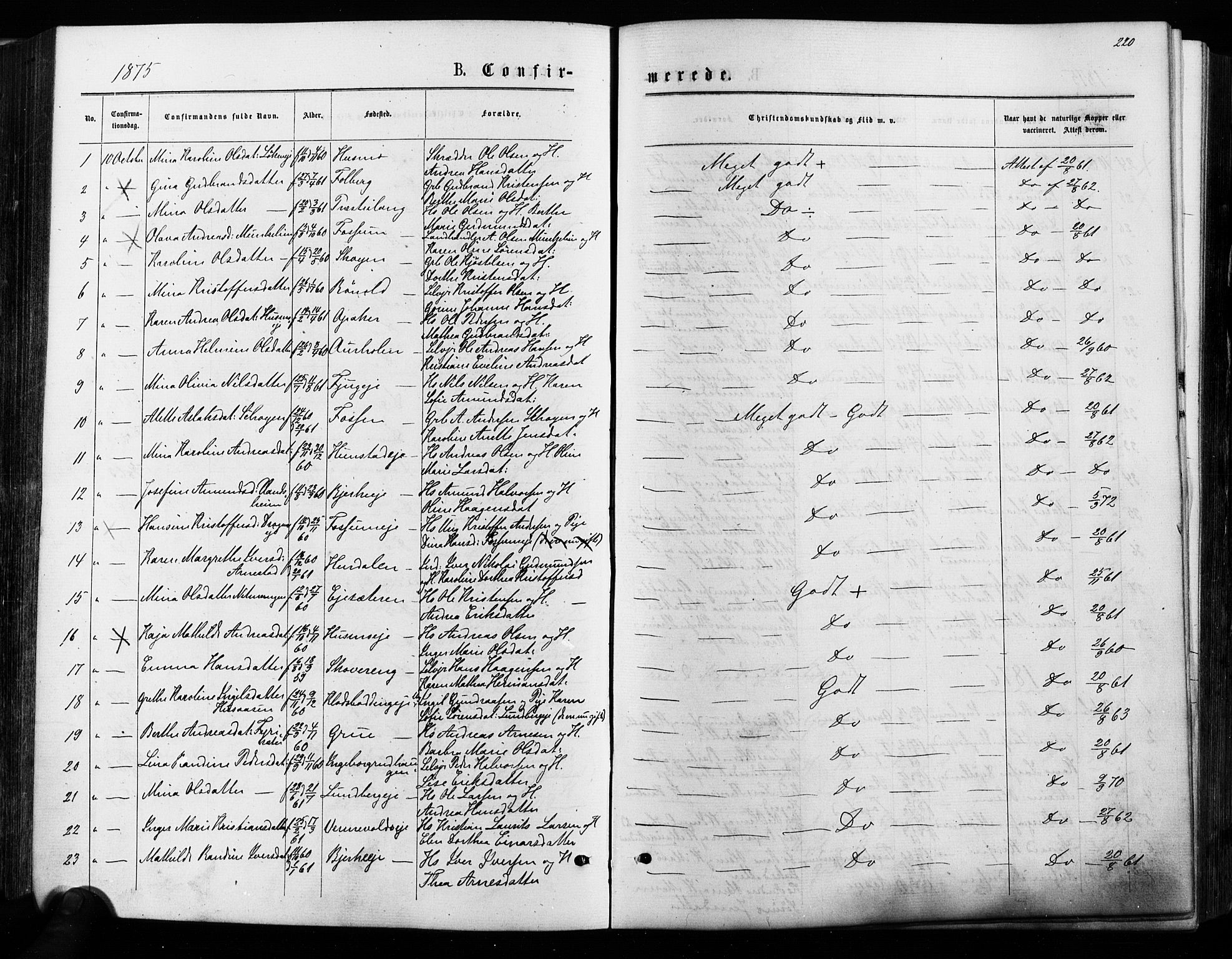 Nes prestekontor Kirkebøker, AV/SAO-A-10410/F/Fa/L0009: Parish register (official) no. I 9, 1875-1882, p. 220