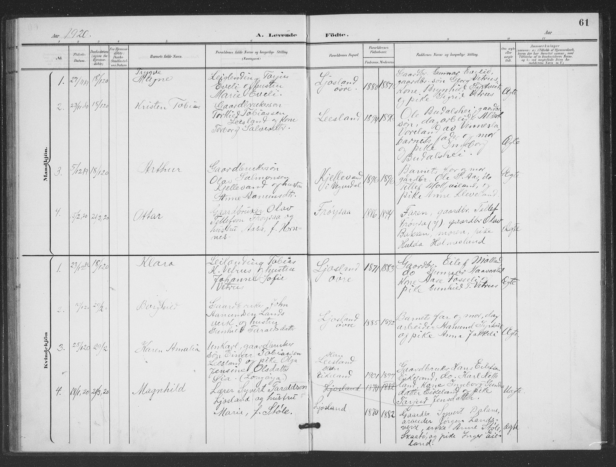 Evje sokneprestkontor, SAK/1111-0008/F/Fb/Fbc/L0005: Parish register (copy) no. B 5, 1901-1935, p. 61