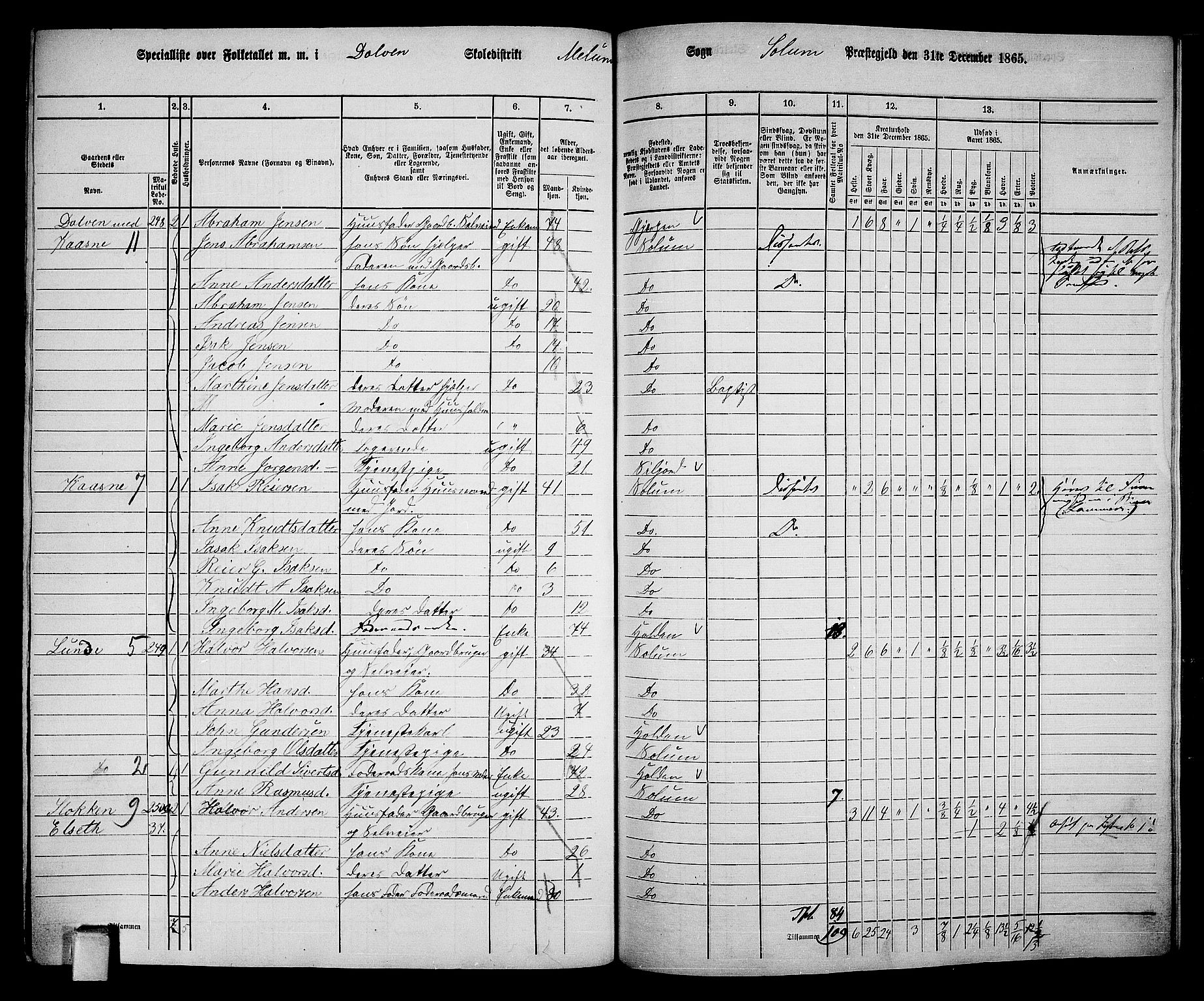 RA, 1865 census for Solum, 1865, p. 196