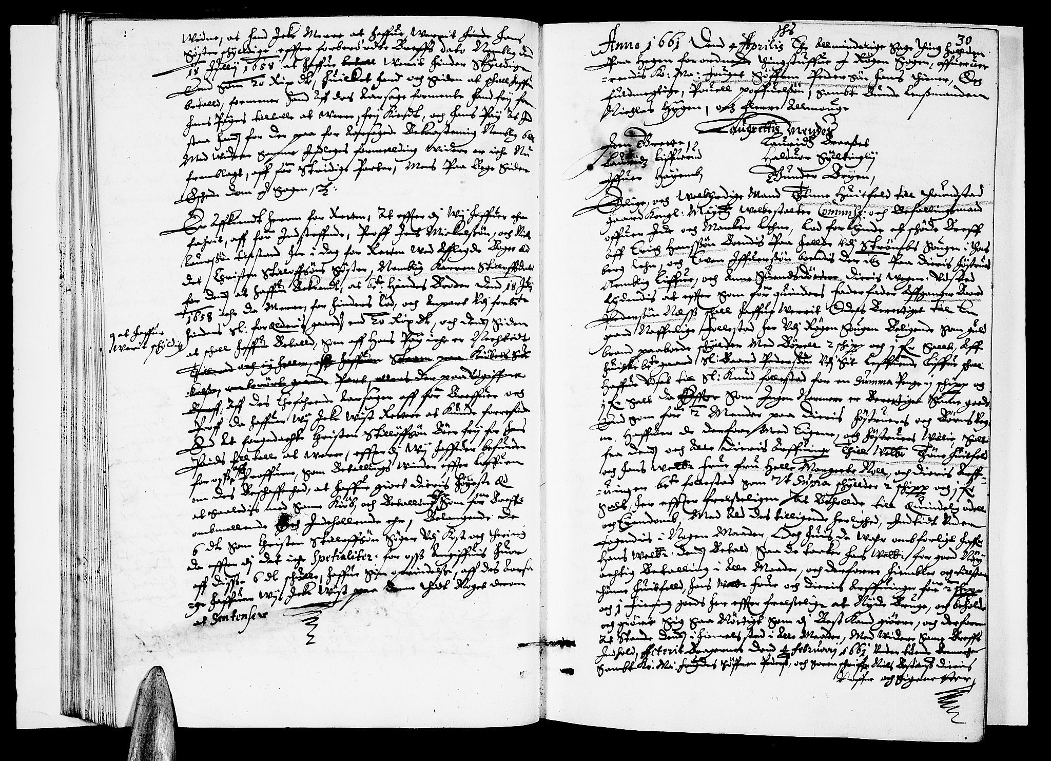 Lier, Røyken og Hurum sorenskriveri, SAKO/A-89/F/Fa/L0002: Tingbok, 1661, p. 30