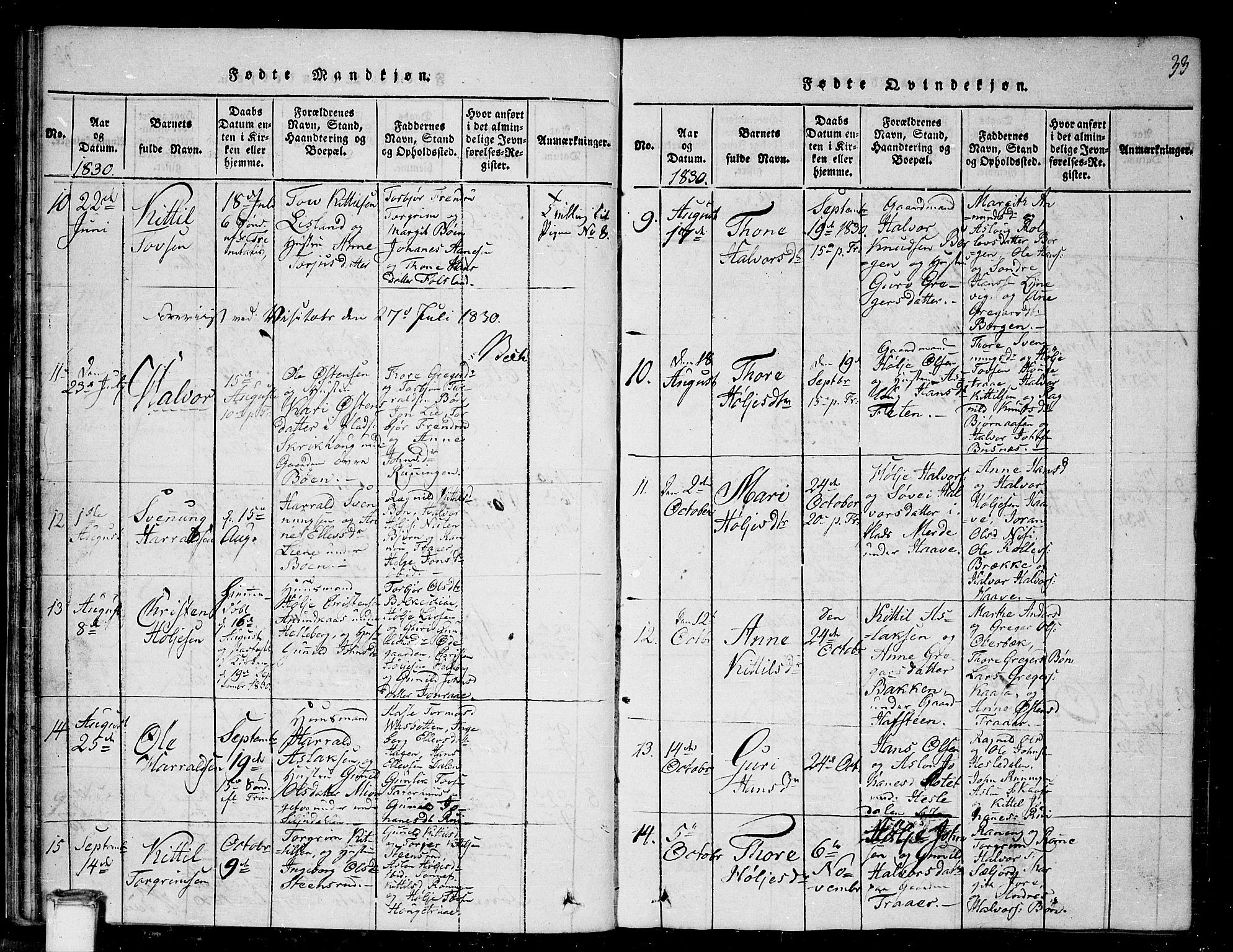 Gransherad kirkebøker, SAKO/A-267/G/Ga/L0001: Parish register (copy) no. I 1, 1815-1842, p. 33