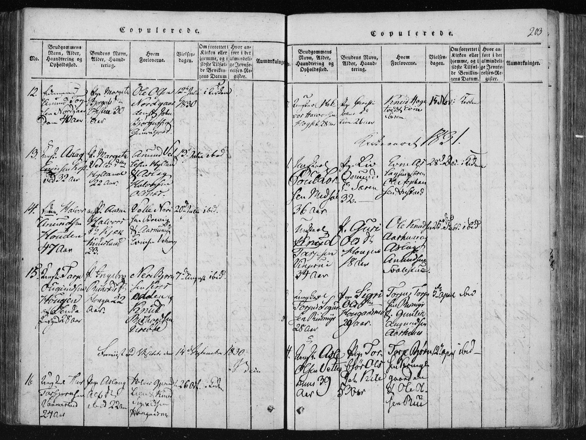 Vinje kirkebøker, SAKO/A-312/F/Fa/L0003: Parish register (official) no. I 3, 1814-1843, p. 203