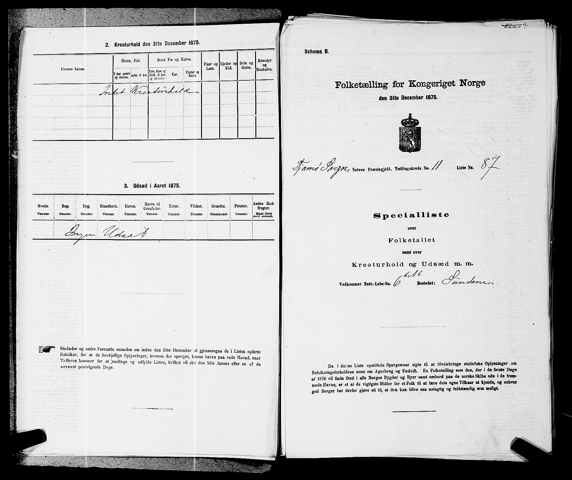 SAKO, 1875 census for 0722P Nøtterøy, 1875, p. 2144