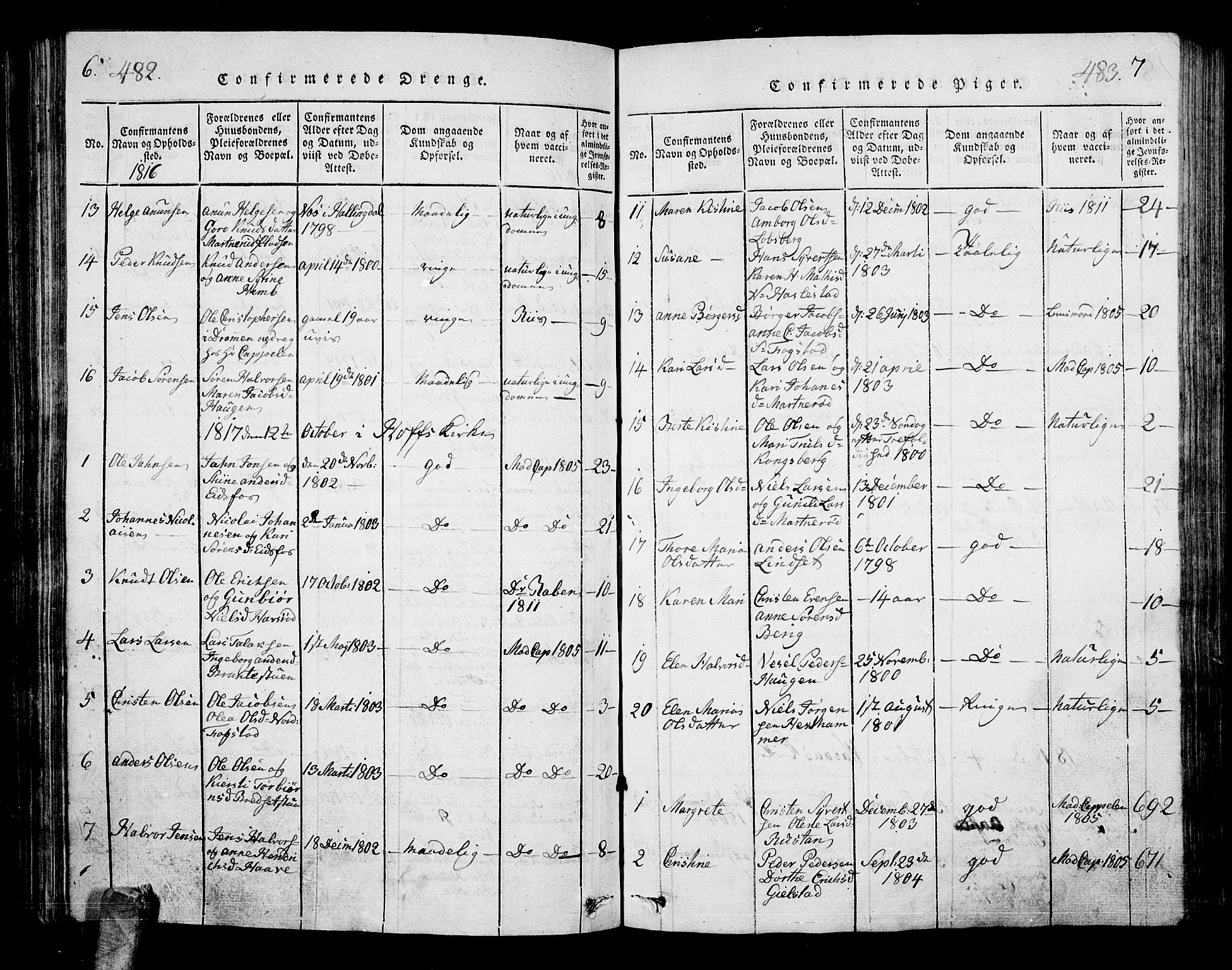 Hof kirkebøker, AV/SAKO-A-64/G/Ga/L0001: Parish register (copy) no. I 1, 1814-1844, p. 482-483