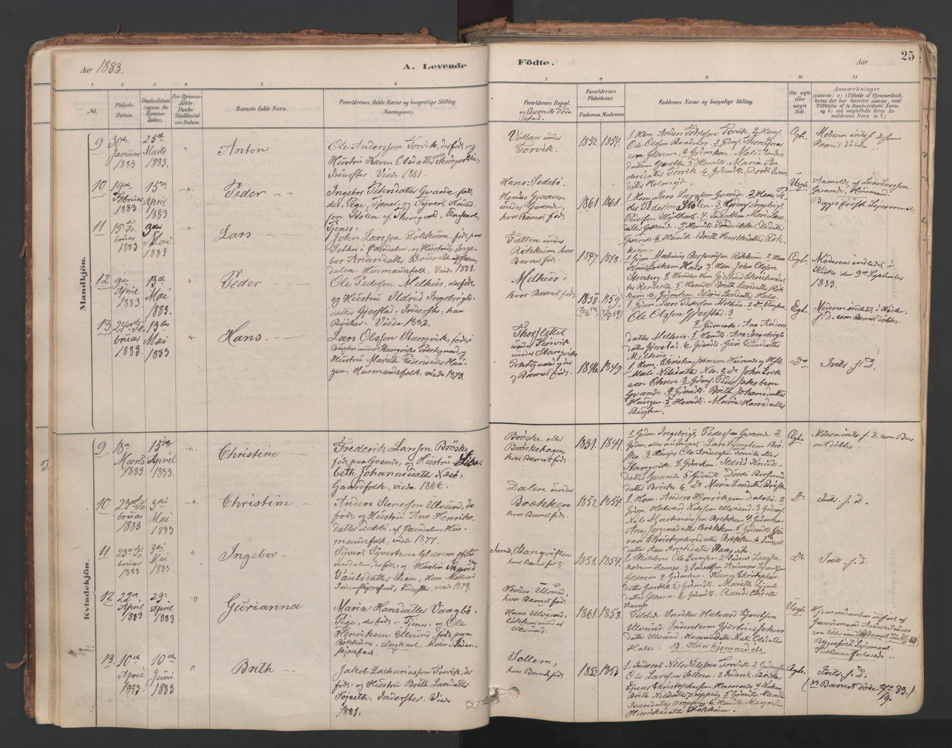 Ministerialprotokoller, klokkerbøker og fødselsregistre - Møre og Romsdal, AV/SAT-A-1454/592/L1029: Parish register (official) no. 592A07, 1879-1902, p. 25