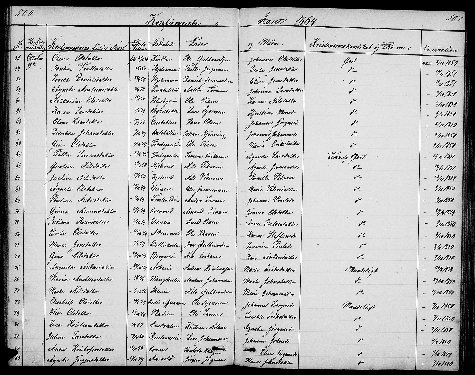 Nes prestekontor, Hedmark, SAH/PREST-020/L/La/L0005: Parish register (copy) no. 5, 1852-1889, p. 506-507