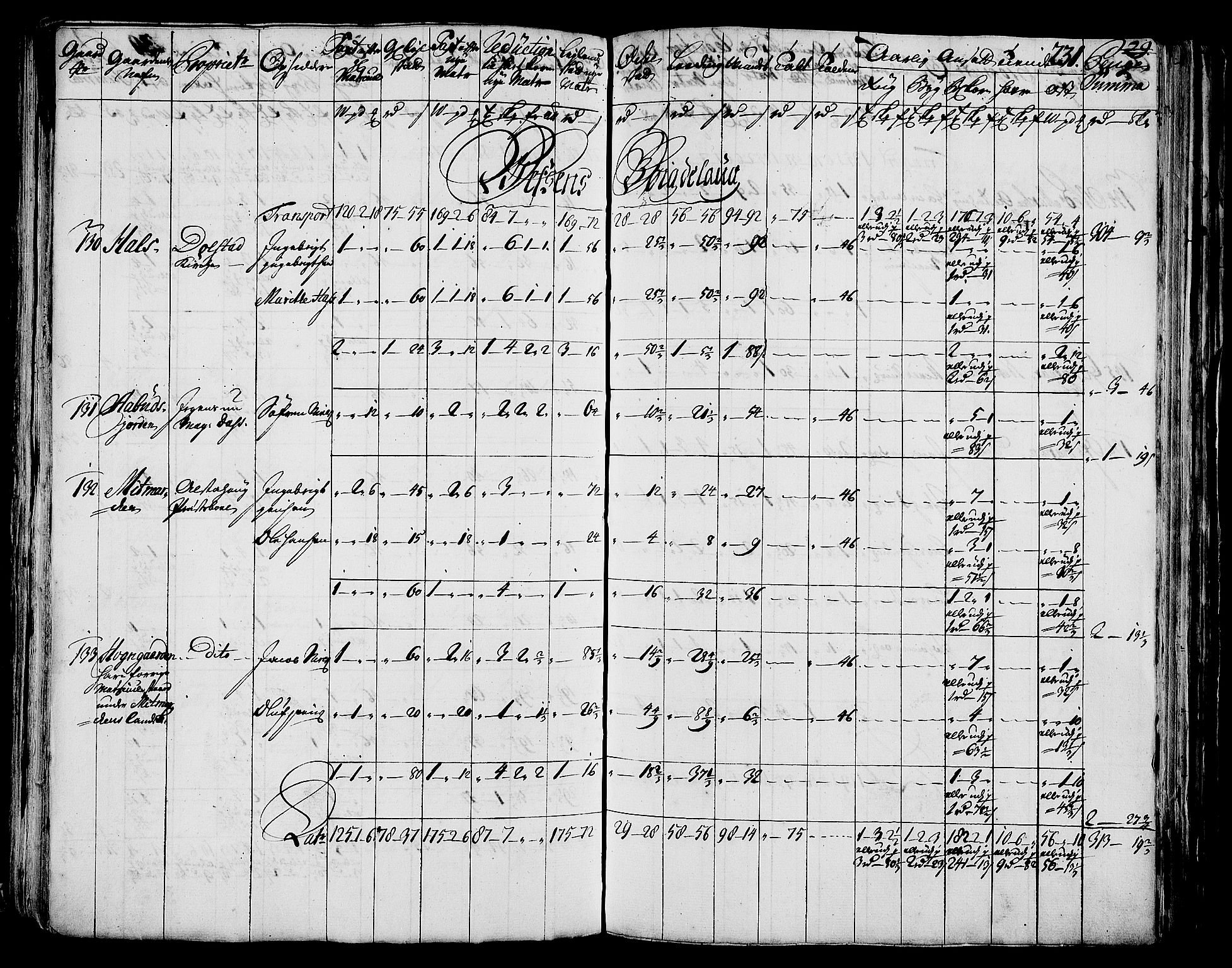 Rentekammeret inntil 1814, Realistisk ordnet avdeling, AV/RA-EA-4070/N/Nb/Nbf/L0171: Helgeland matrikkelprotokoll, 1723, p. 235