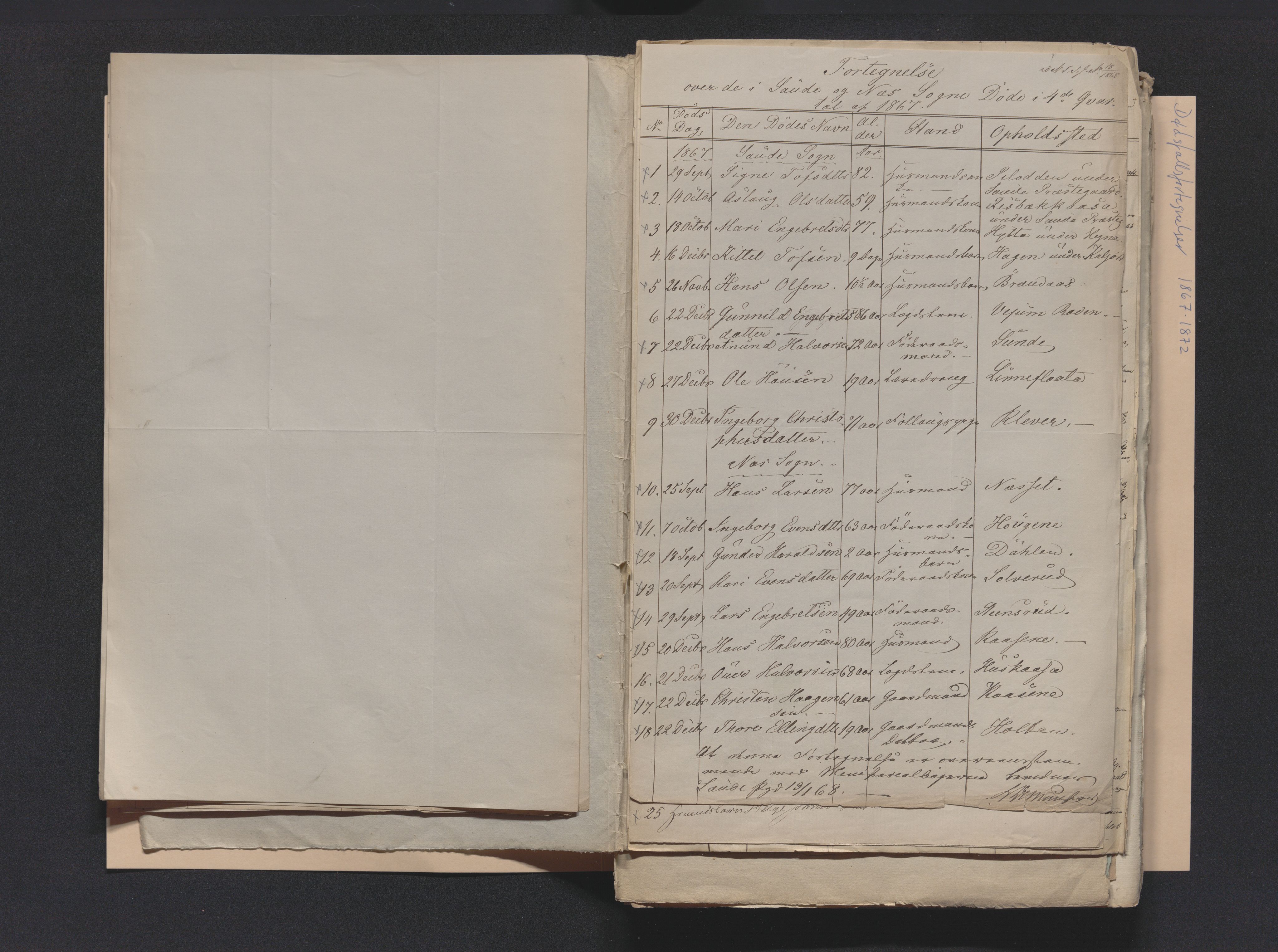 Nedre Telemark sorenskriveri, AV/SAKO-A-135/H/Ha/Hab/L0001: Dødsfallsfortegnelser
, 1867-1886, p. 8