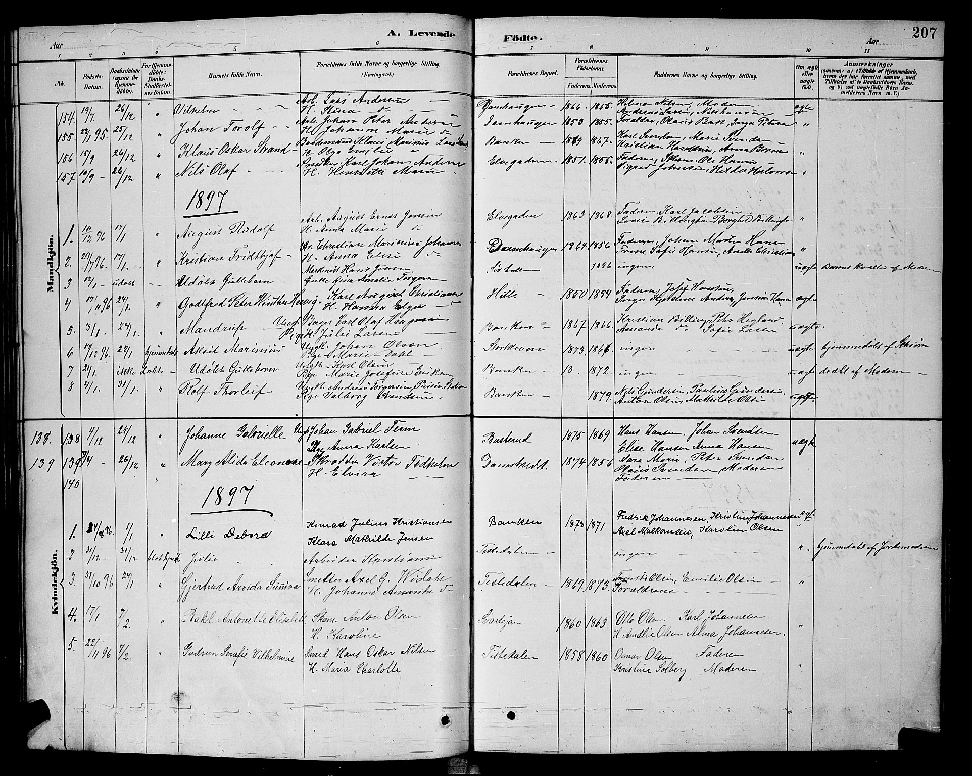 Halden prestekontor Kirkebøker, SAO/A-10909/G/Ga/L0008: Parish register (copy) no. 8, 1885-1899, p. 207