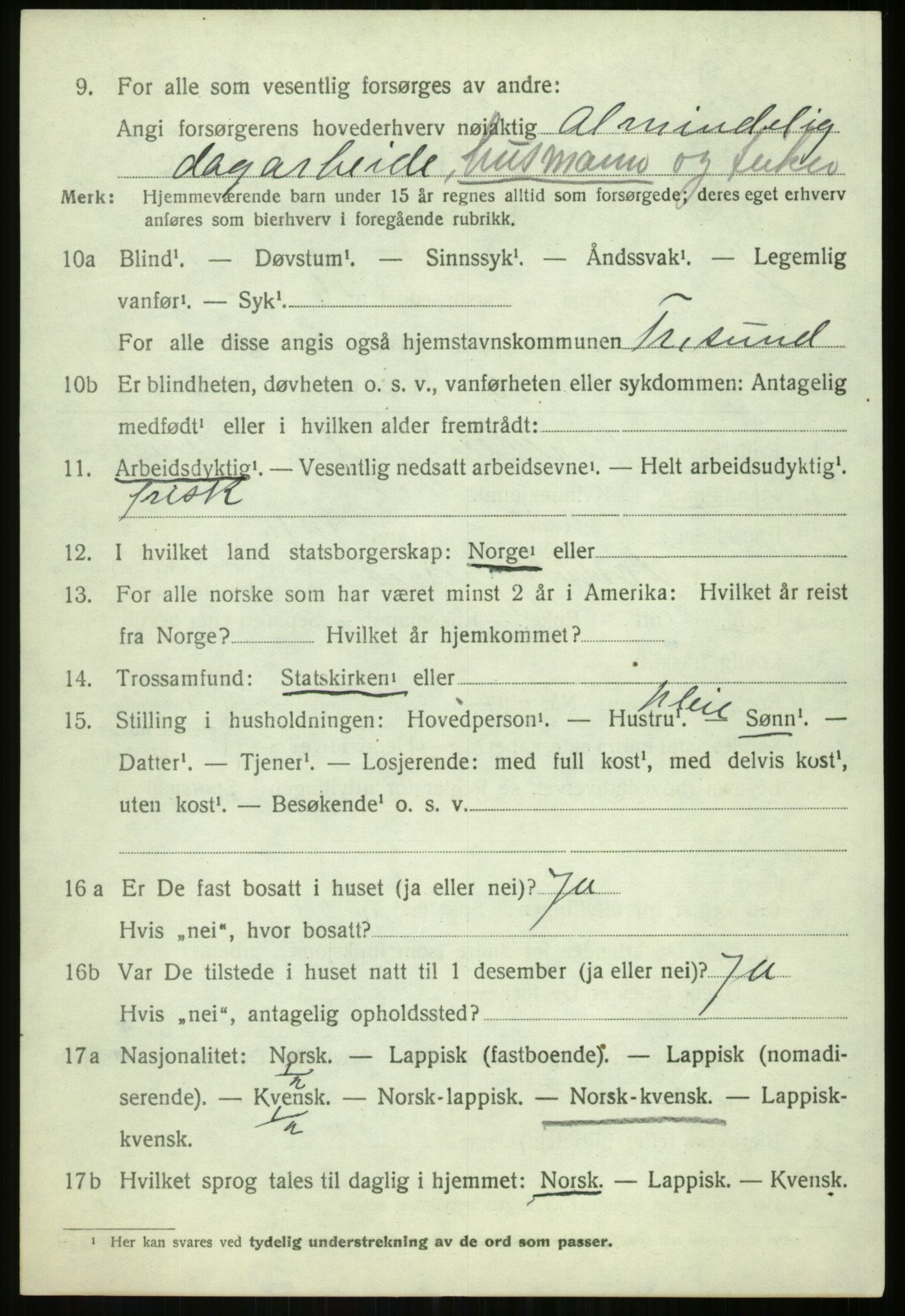 SATØ, 1920 census for Tromsøysund, 1920, p. 6229