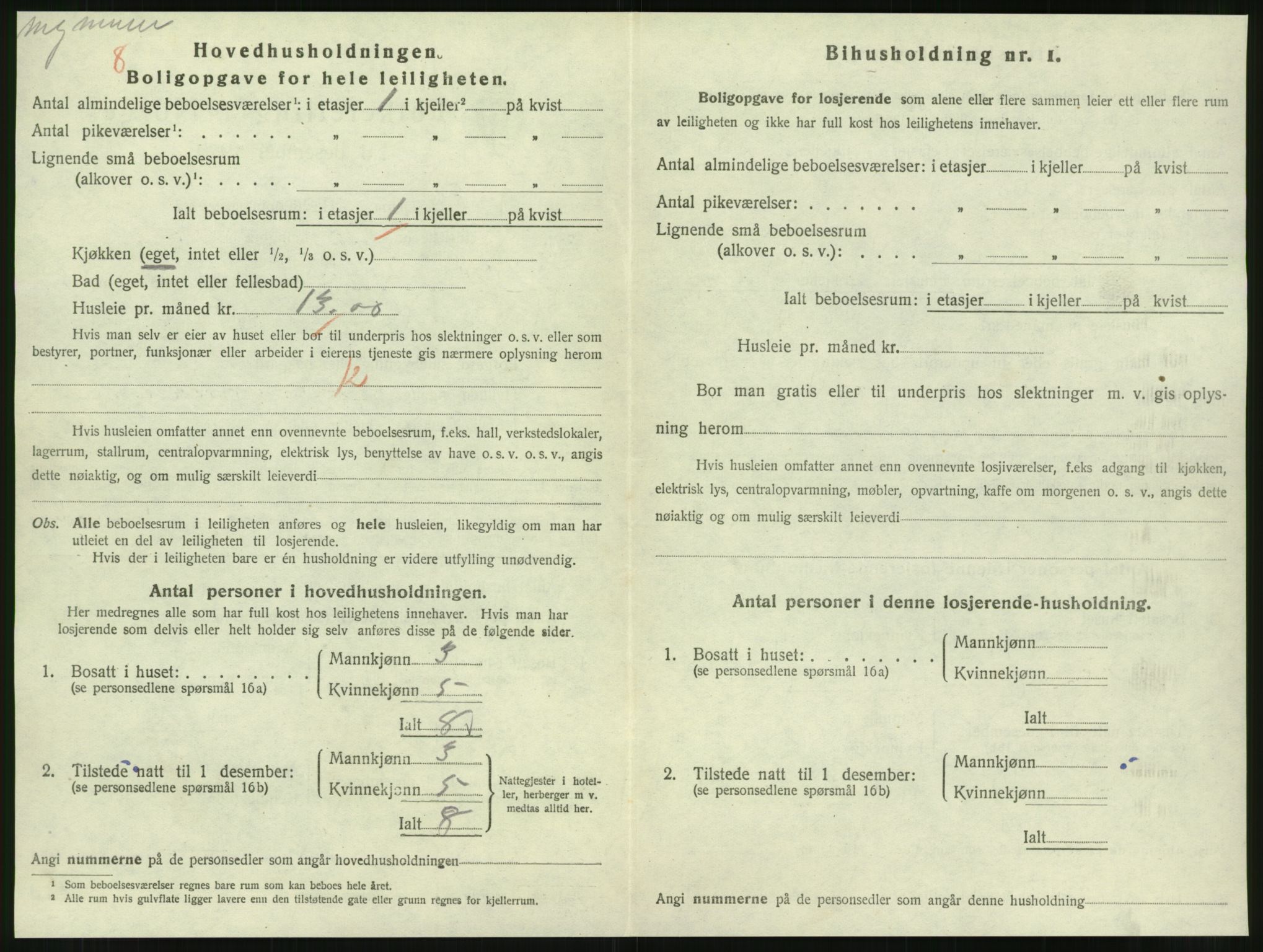 SAT, 1920 census for Steinkjer, 1920, p. 1989