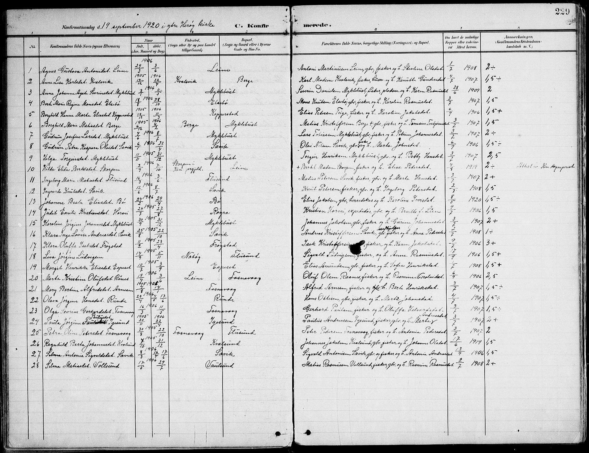 Ministerialprotokoller, klokkerbøker og fødselsregistre - Møre og Romsdal, SAT/A-1454/507/L0075: Parish register (official) no. 507A10, 1901-1920, p. 229