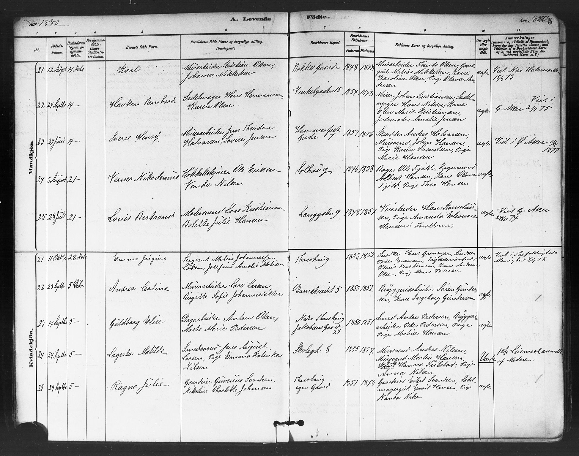 Petrus prestekontor Kirkebøker, AV/SAO-A-10872/G/Ga/L0001: Parish register (copy) no. 1, 1880-1887, p. 5