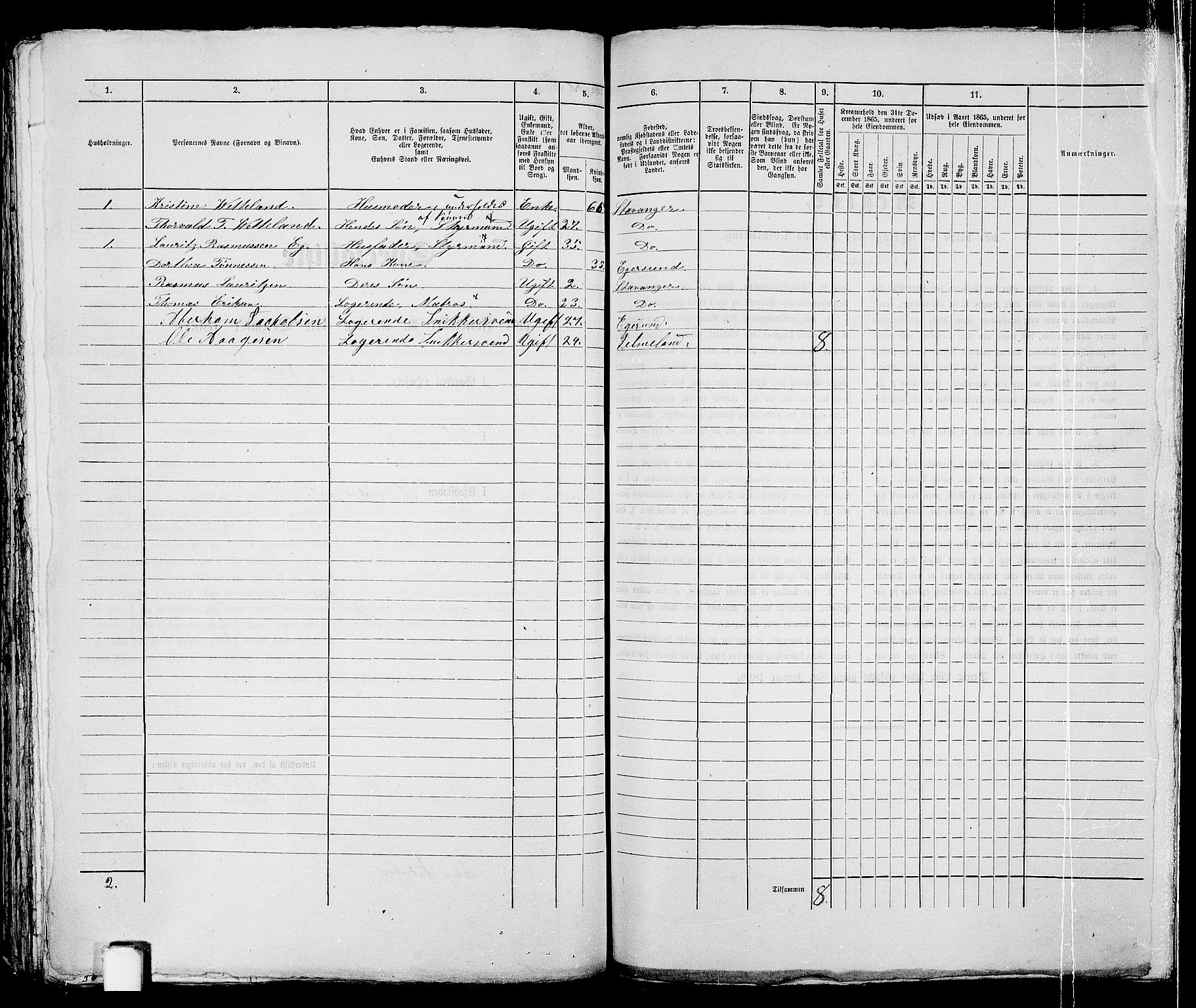 RA, 1865 census for Stavanger, 1865, p. 2262