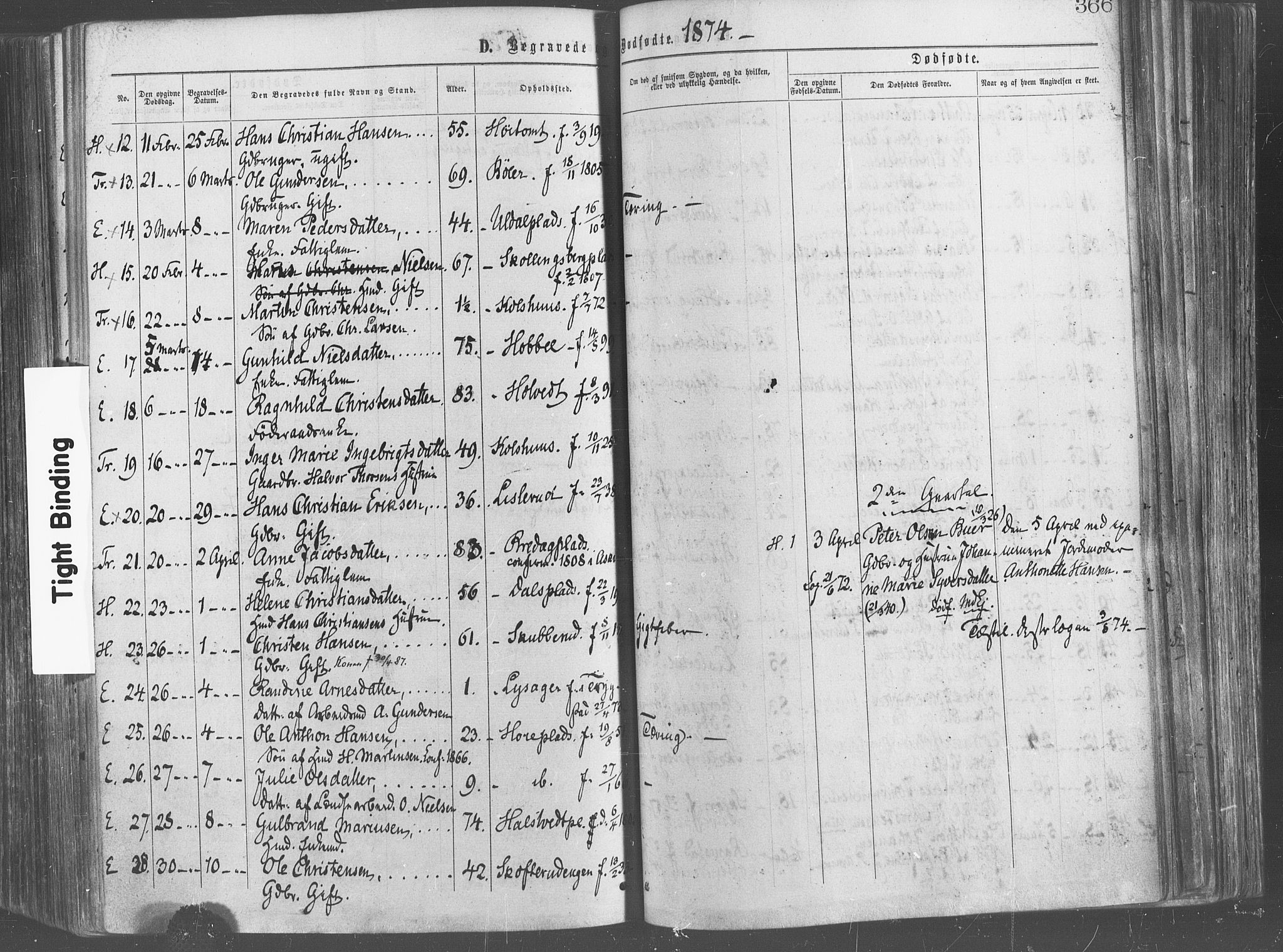 Eidsberg prestekontor Kirkebøker, SAO/A-10905/F/Fa/L0011: Parish register (official) no. I 11, 1867-1878, p. 366