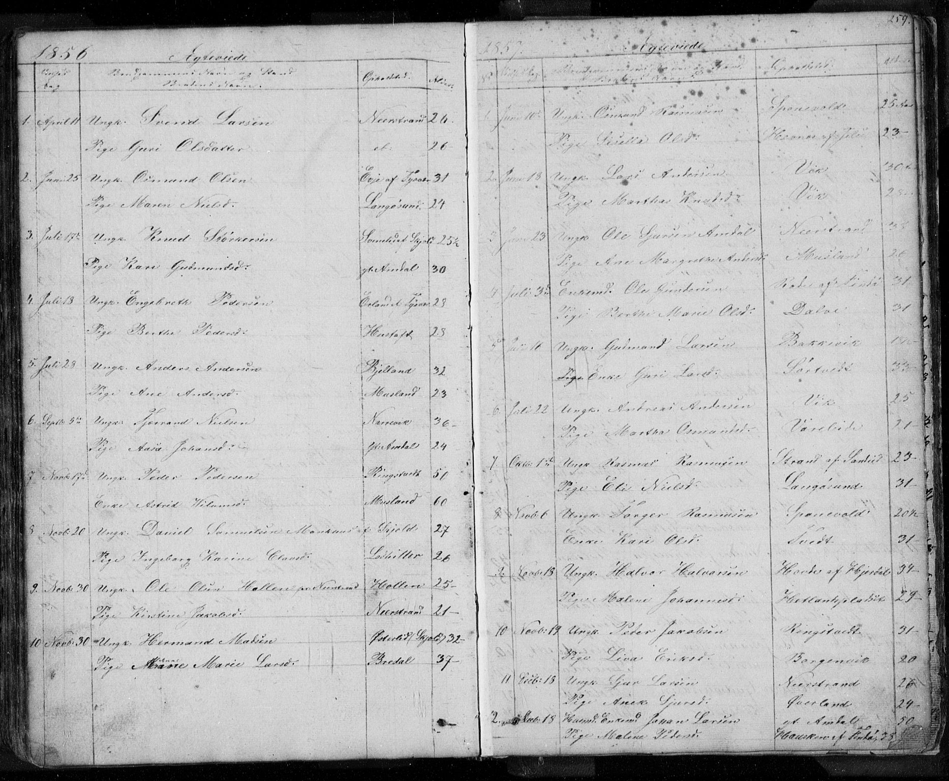 Nedstrand sokneprestkontor, AV/SAST-A-101841/01/V: Parish register (copy) no. B 3, 1848-1933, p. 259