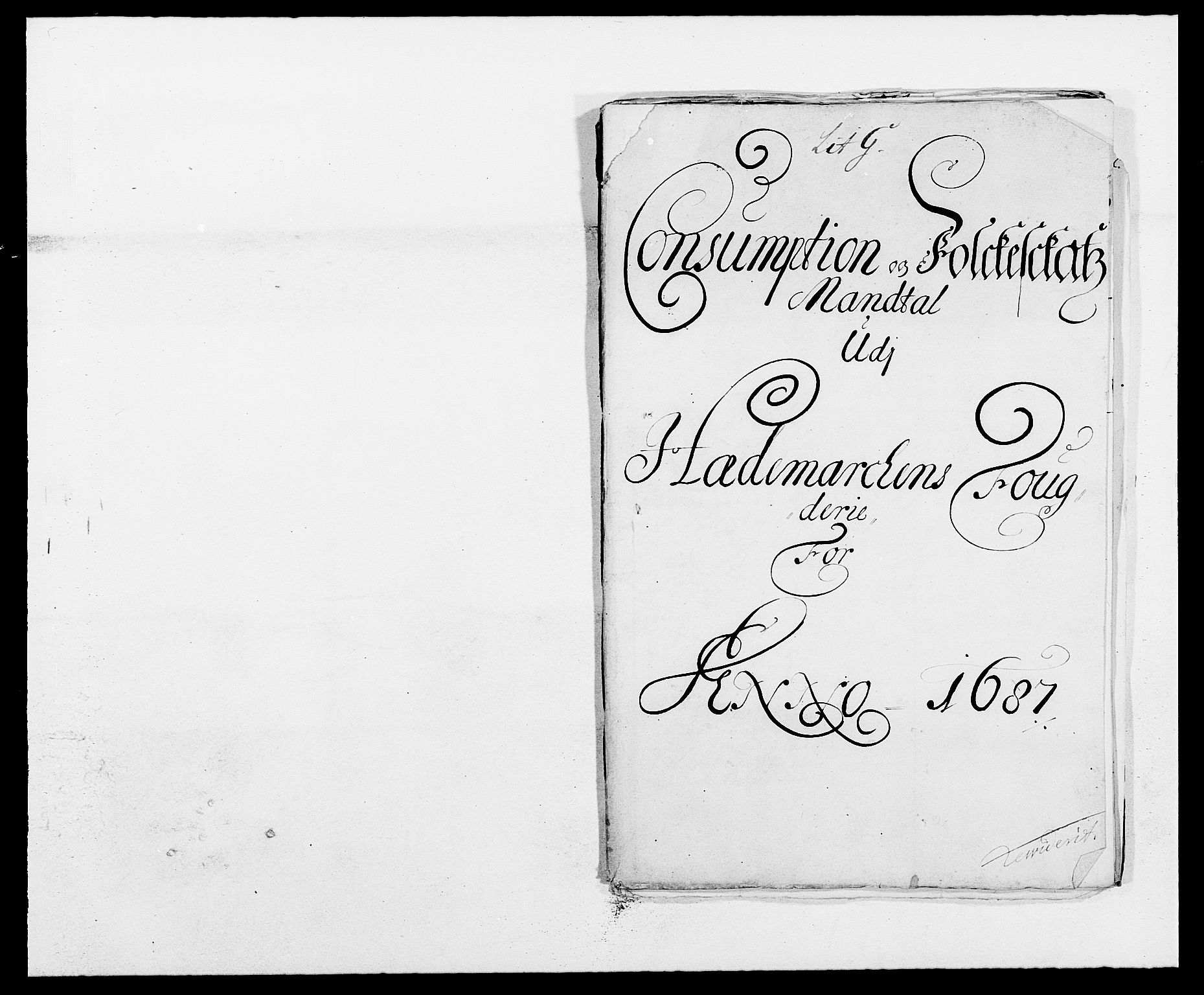 Rentekammeret inntil 1814, Reviderte regnskaper, Fogderegnskap, RA/EA-4092/R16/L1028: Fogderegnskap Hedmark, 1687, p. 110