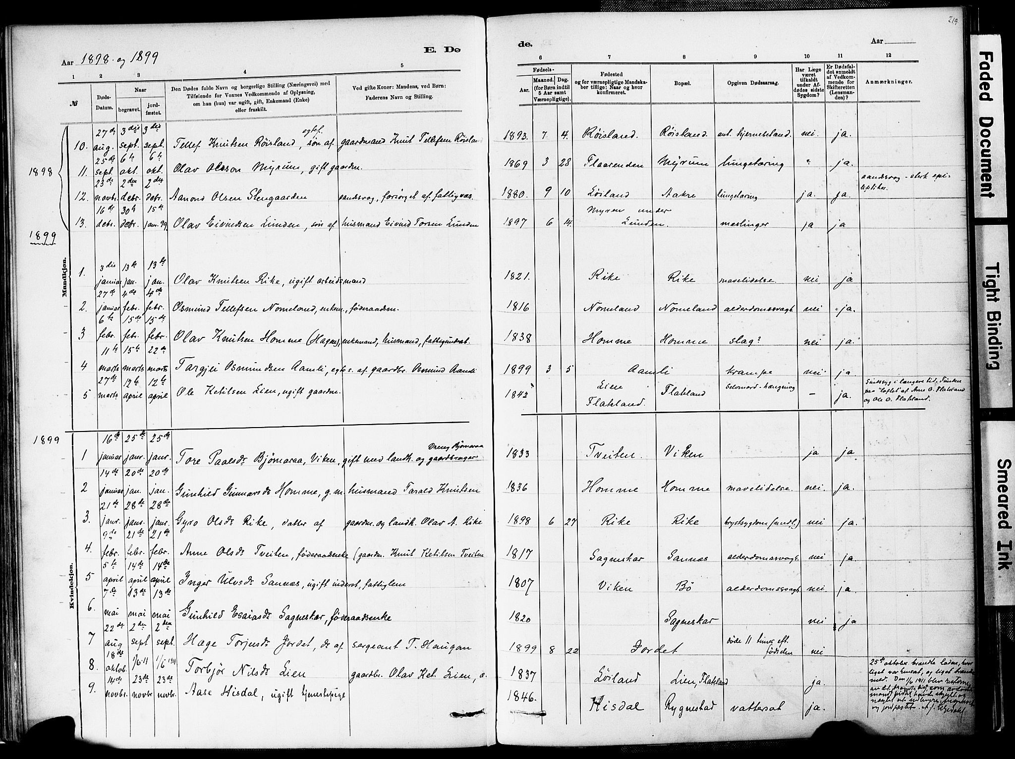 Valle sokneprestkontor, AV/SAK-1111-0044/F/Fa/Fac/L0009: Parish register (official) no. A 9, 1882-1913, p. 219