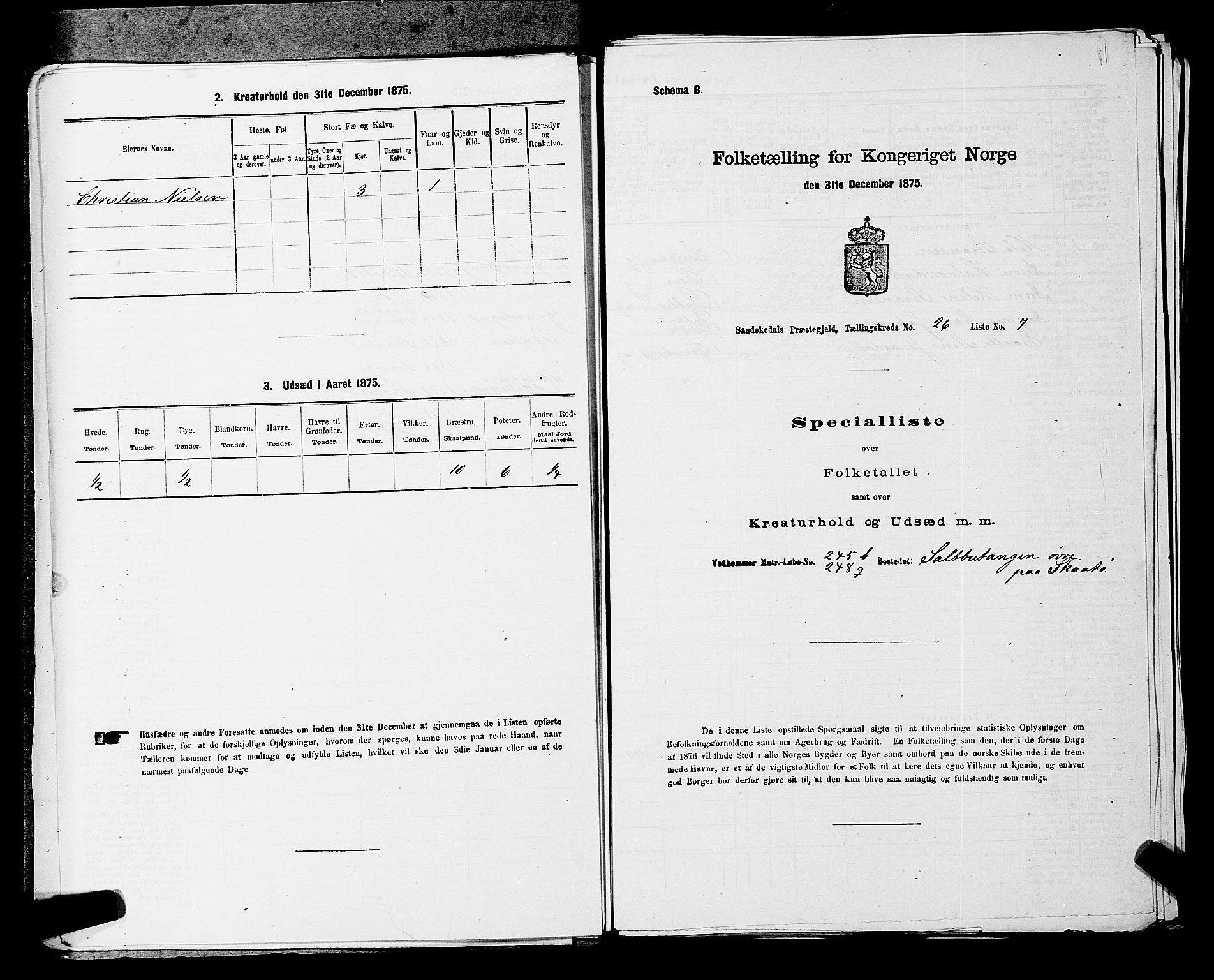 SAKO, 1875 census for 0816P Sannidal, 1875, p. 2026