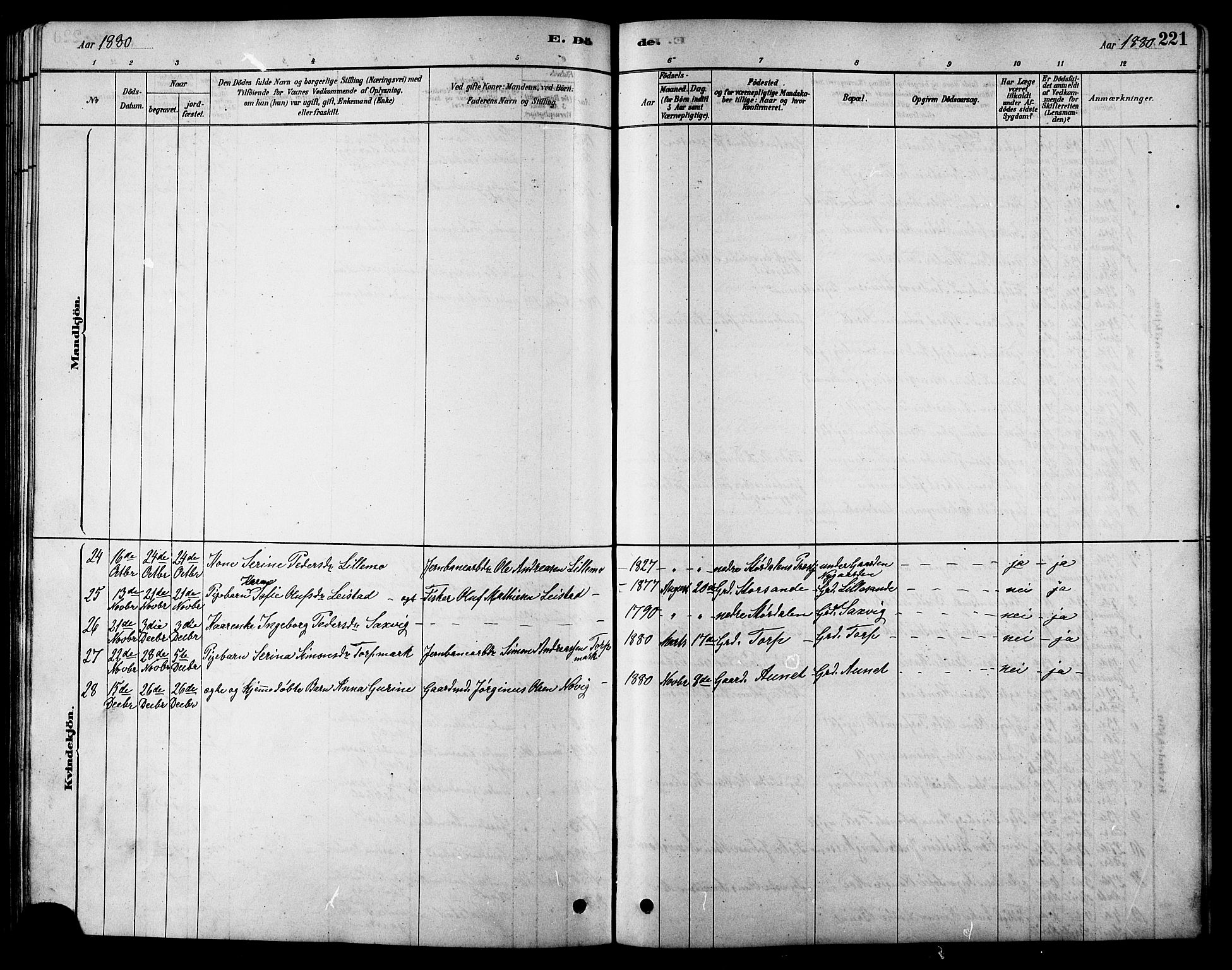 Ministerialprotokoller, klokkerbøker og fødselsregistre - Sør-Trøndelag, AV/SAT-A-1456/616/L0423: Parish register (copy) no. 616C06, 1878-1903, p. 221