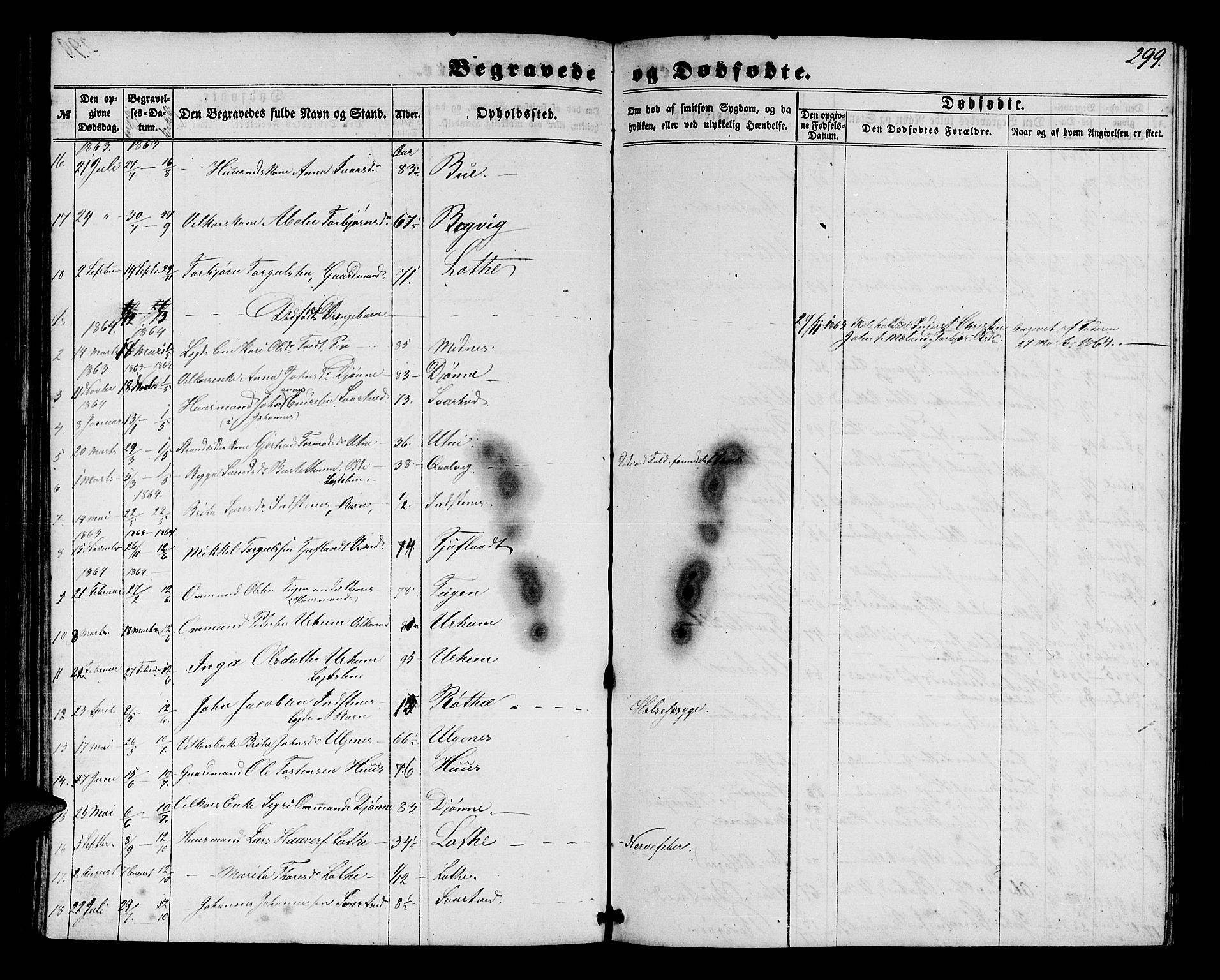 Ullensvang sokneprestembete, SAB/A-78701/H/Hab: Parish register (copy) no. E 6, 1857-1886, p. 299