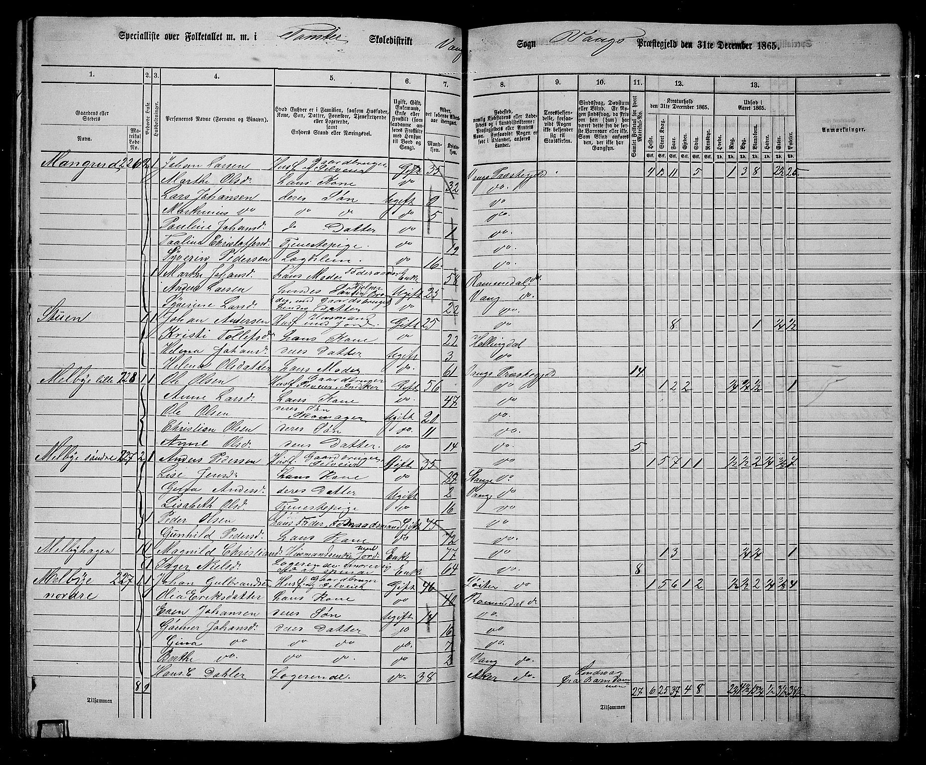 RA, 1865 census for Vang/Vang og Furnes, 1865, p. 228