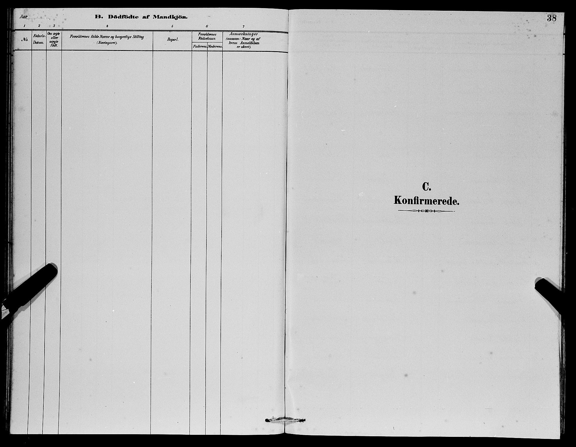 Manger sokneprestembete, AV/SAB-A-76801/H/Hab: Parish register (copy) no. D 2, 1883-1894, p. 38