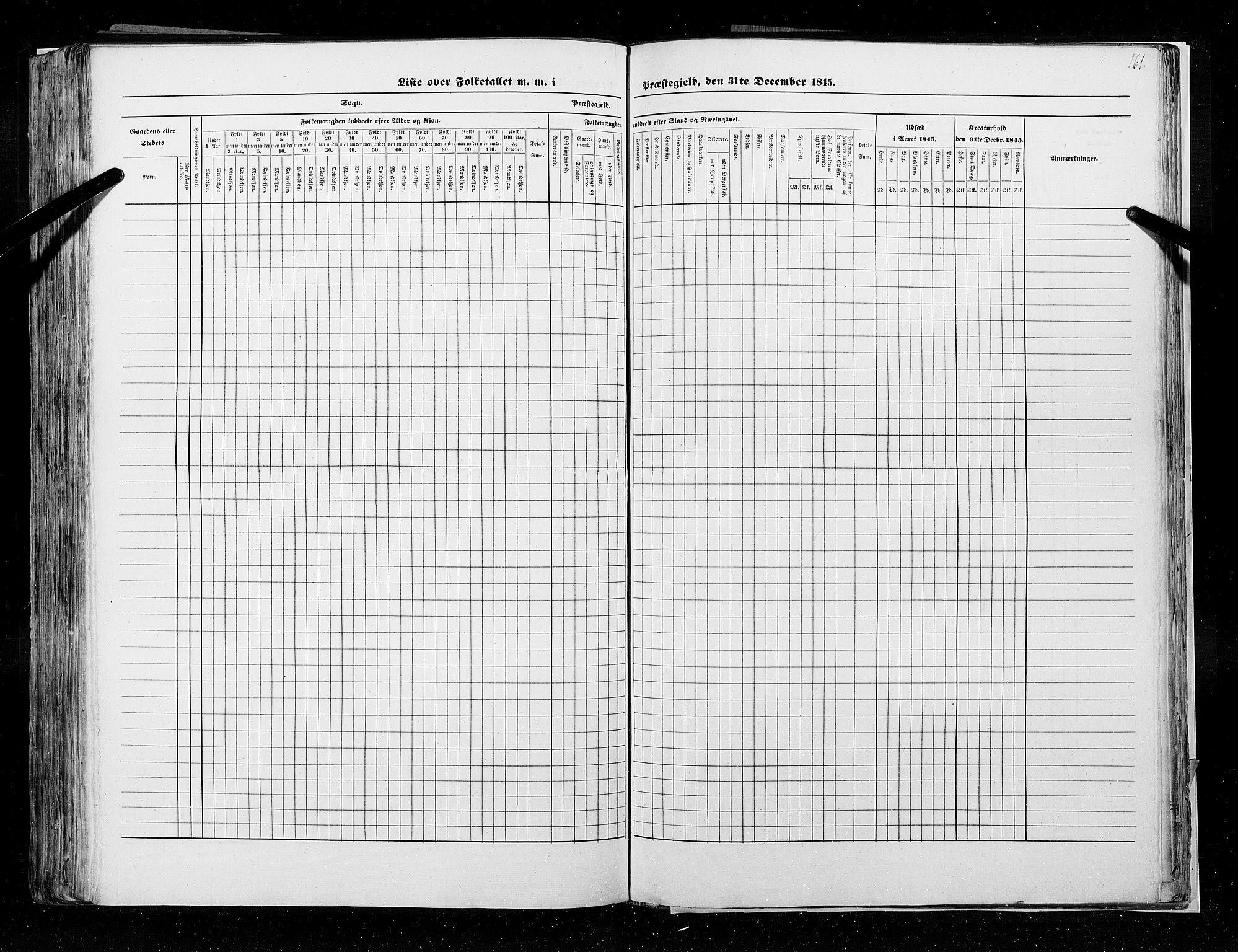 RA, Census 1845, vol. 9A: Nordre Trondhjems amt, 1845, p. 161