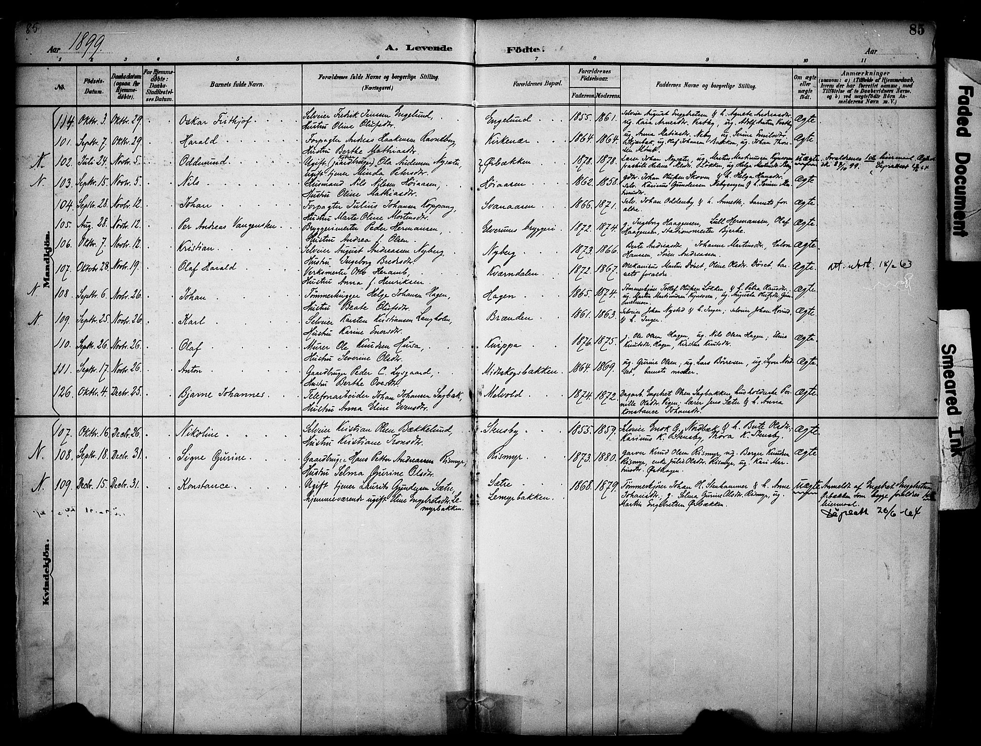 Elverum prestekontor, AV/SAH-PREST-044/H/Ha/Haa/L0014: Parish register (official) no. 14, 1891-1909, p. 85