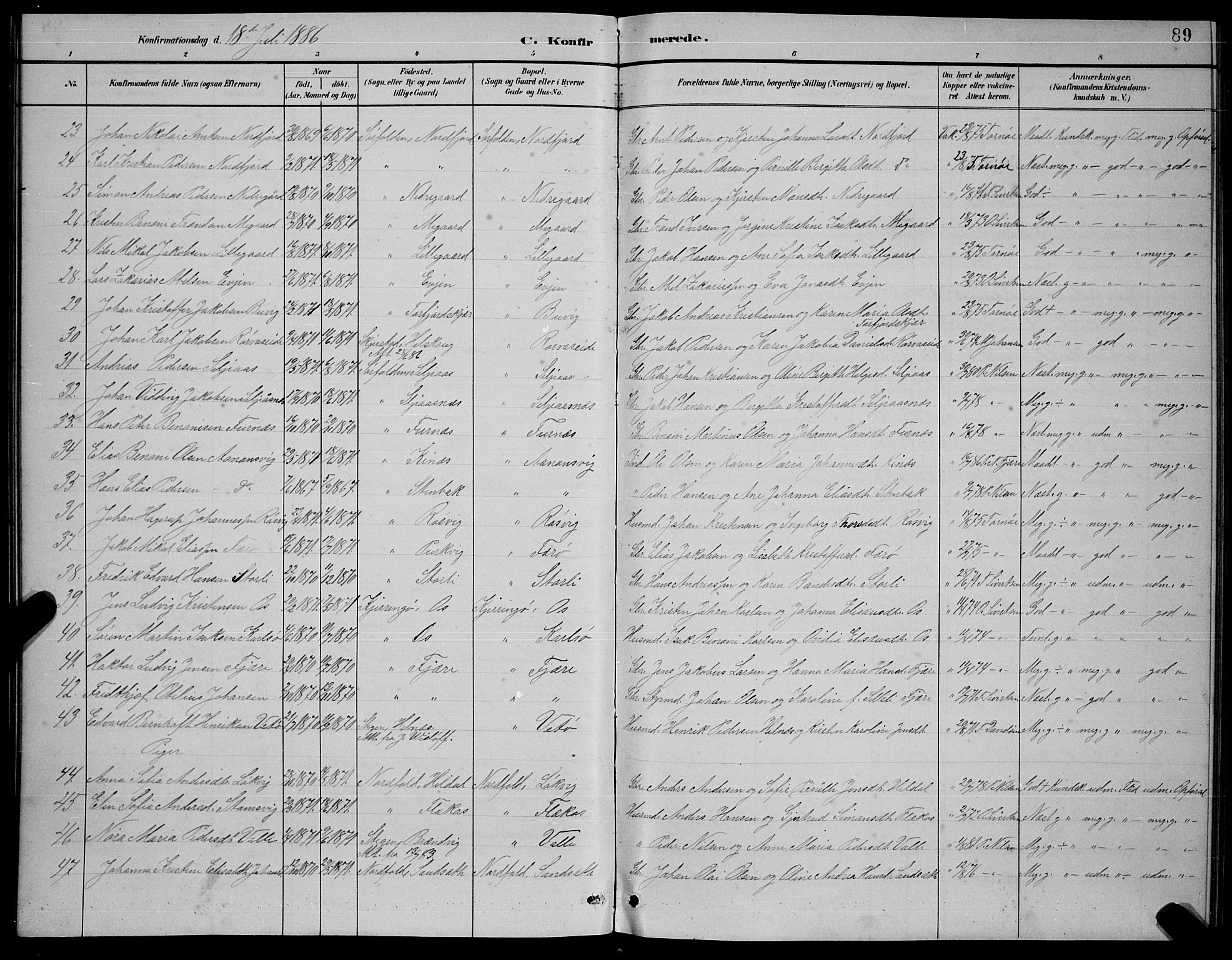 Ministerialprotokoller, klokkerbøker og fødselsregistre - Nordland, AV/SAT-A-1459/854/L0785: Parish register (copy) no. 854C01, 1883-1891, p. 89