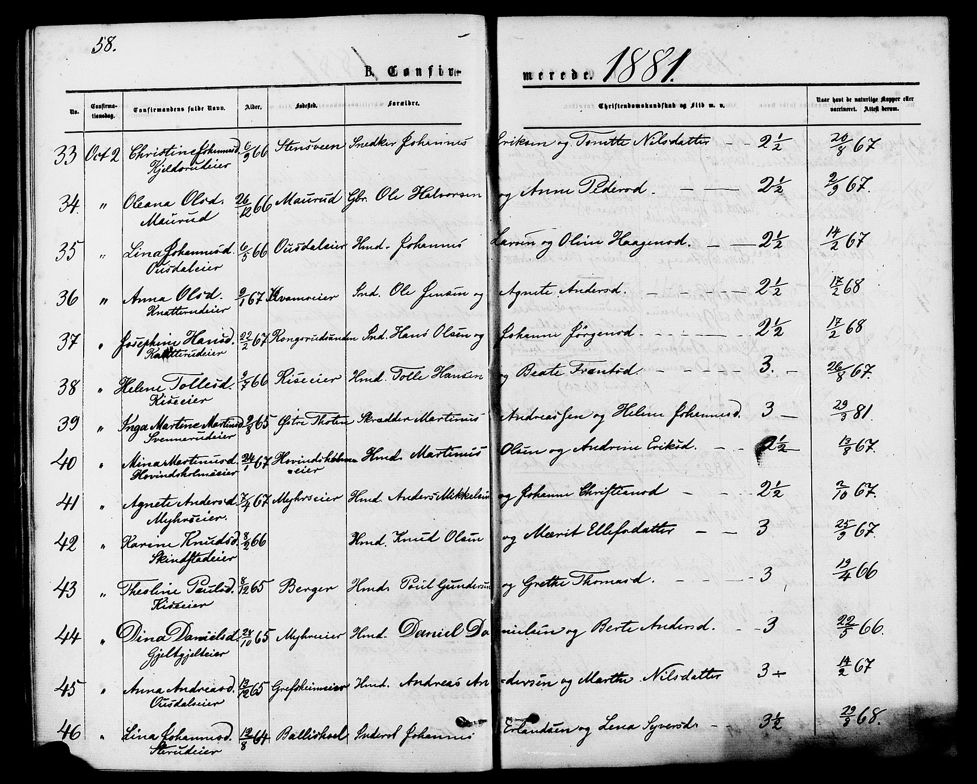 Nes prestekontor, Hedmark, AV/SAH-PREST-020/K/Ka/L0006: Parish register (official) no. 6, 1873-1886, p. 58