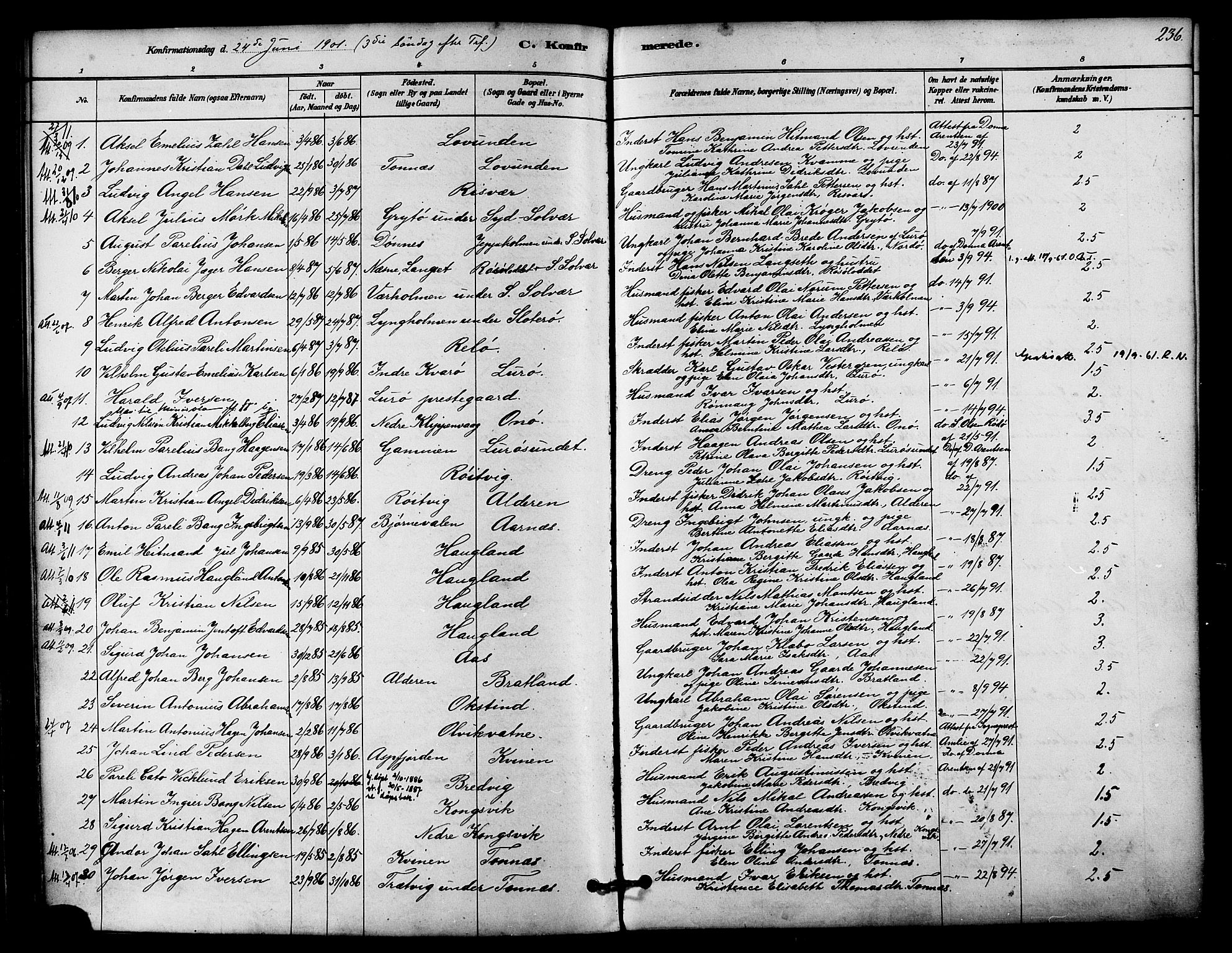 Ministerialprotokoller, klokkerbøker og fødselsregistre - Nordland, SAT/A-1459/839/L0568: Parish register (official) no. 839A05, 1880-1902, p. 236