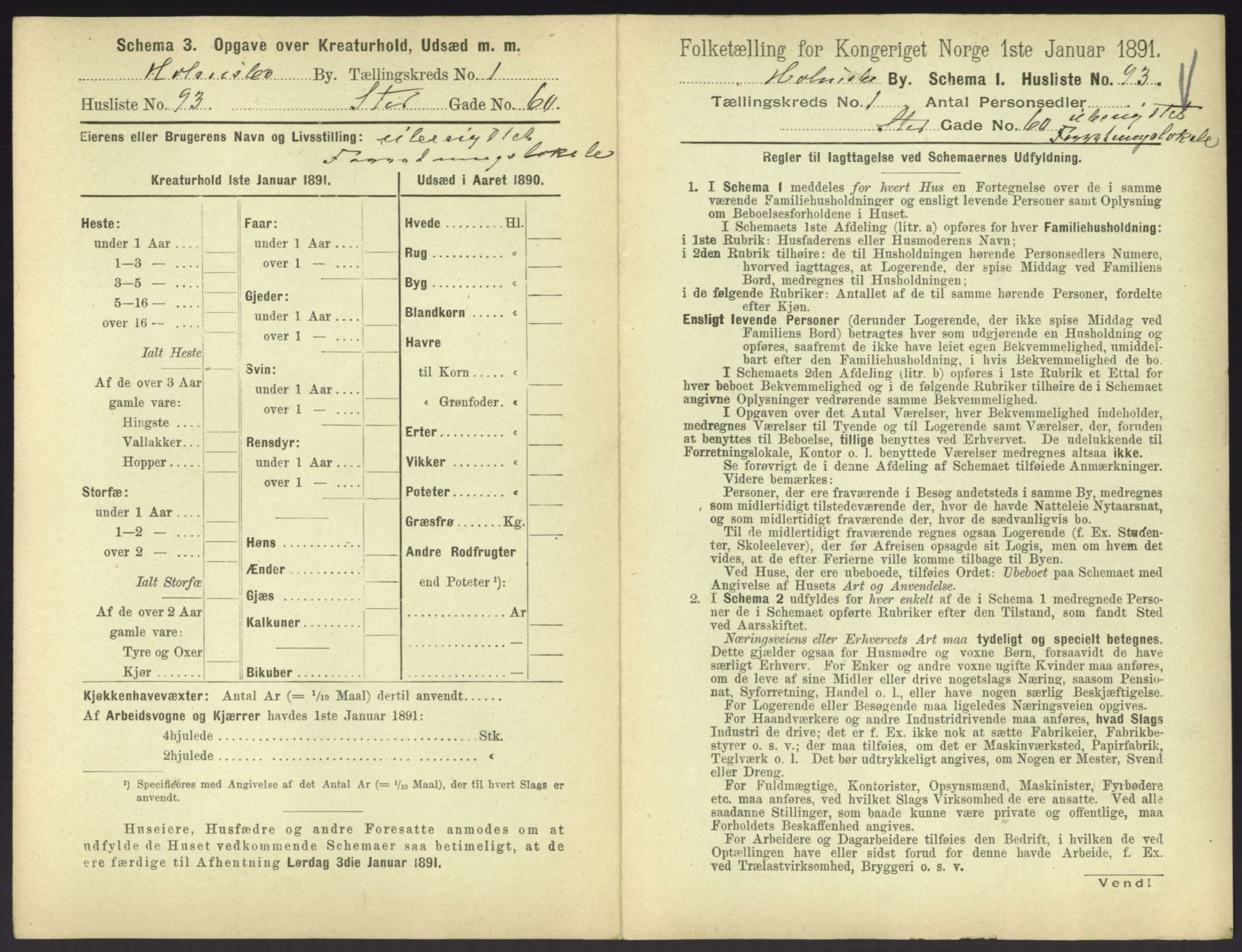 RA, 1891 census for 0603 Holmsbu, 1891, p. 199