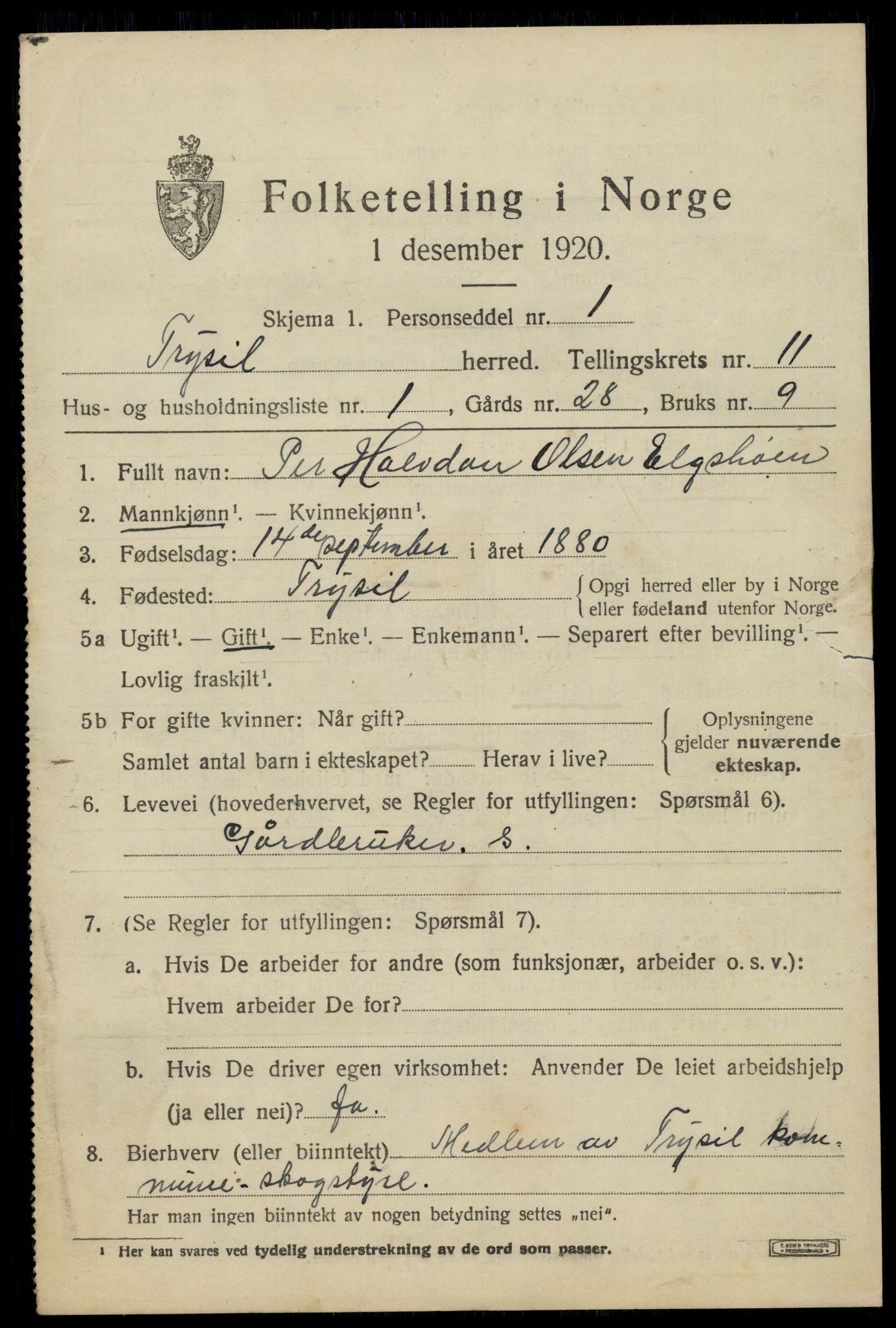 SAH, 1920 census for Trysil, 1920, p. 6957